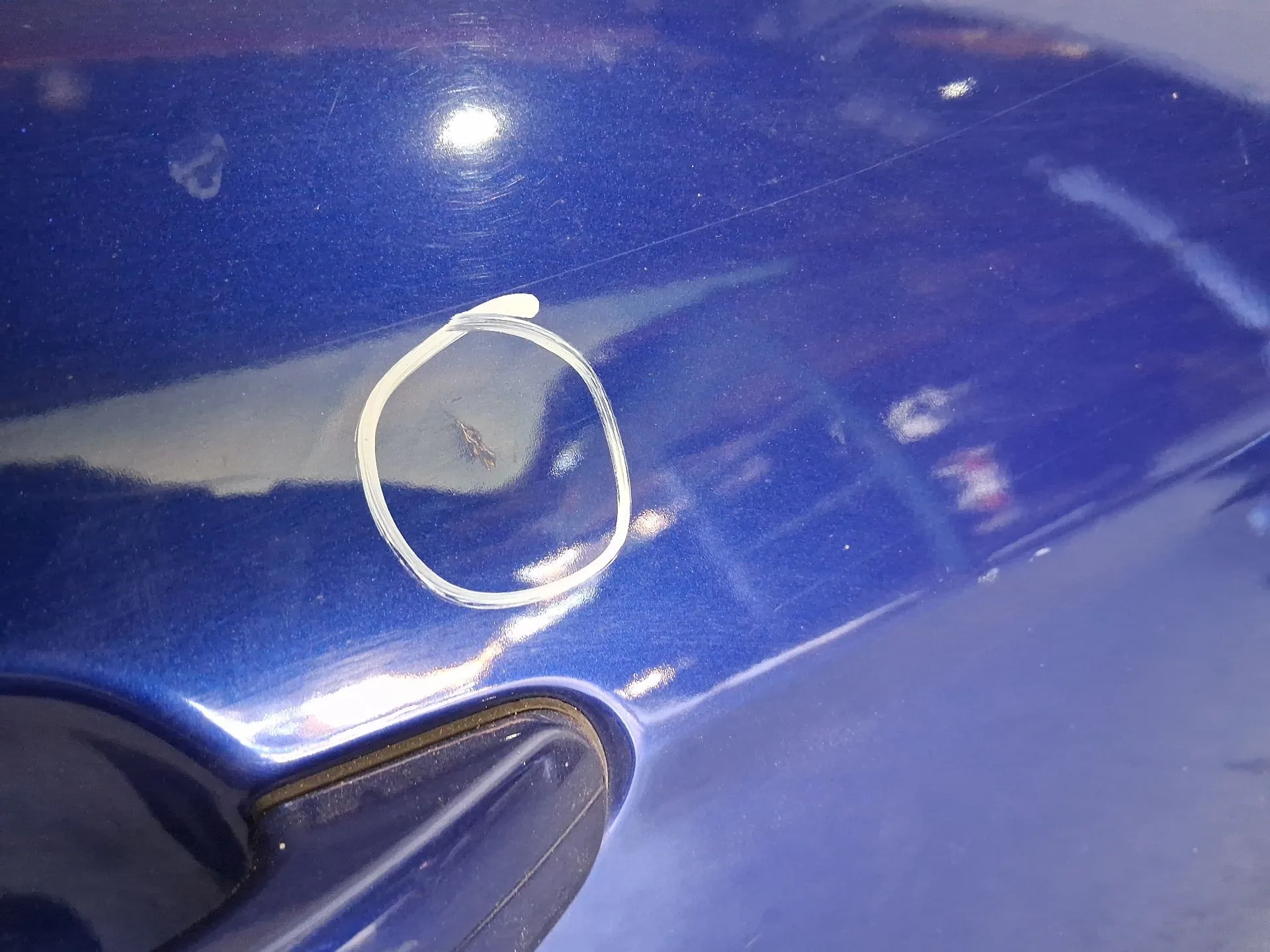 Puerta Delantera Derecha para Ford Focus Iii
