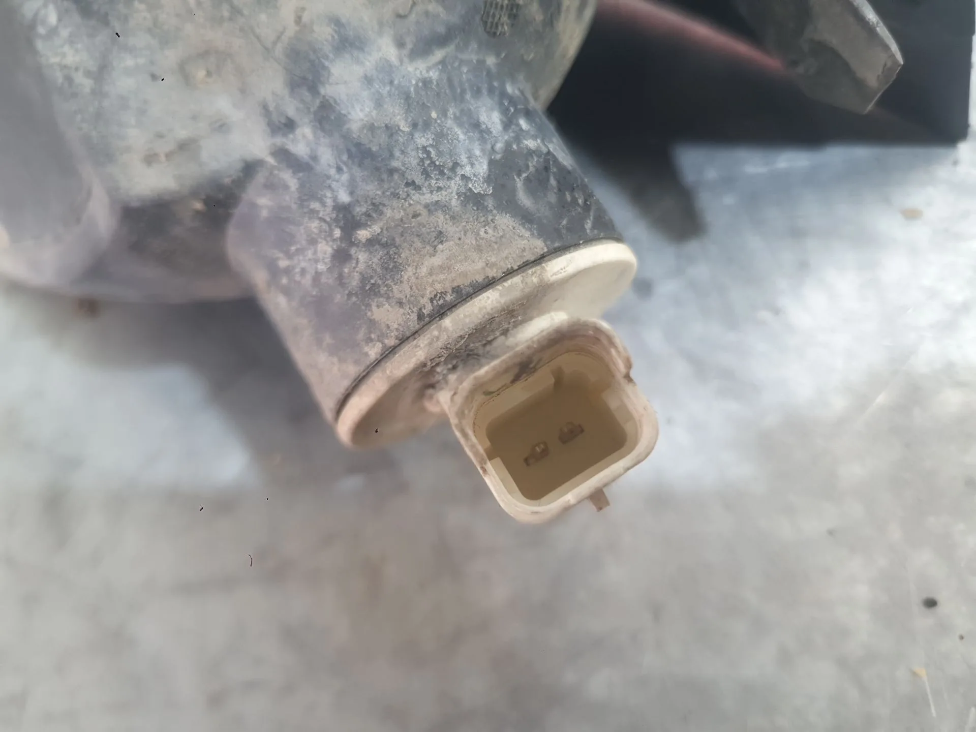 Piloto Trasero Derecho Paragolpes para Ford Ecosport