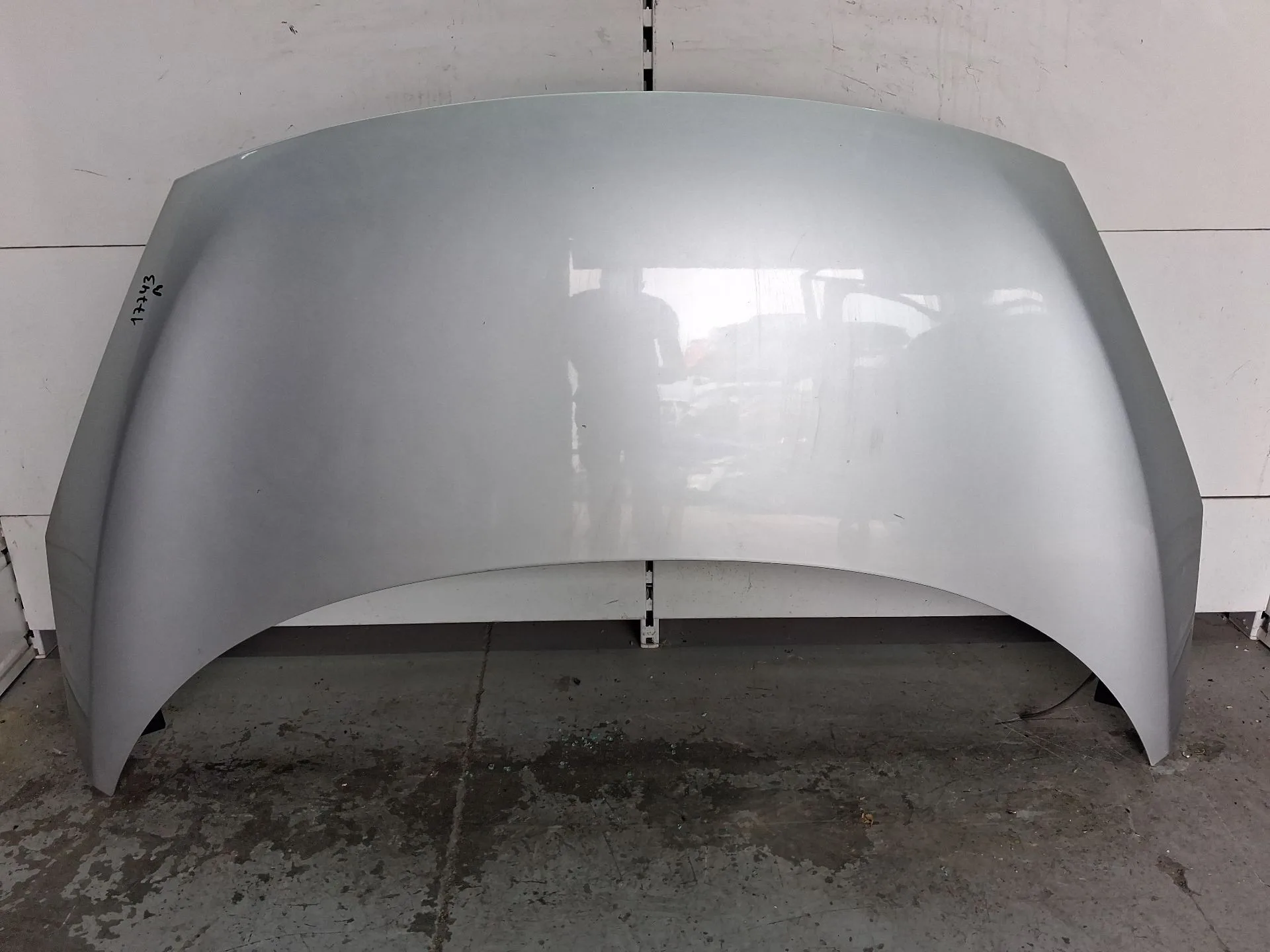 Capot para Renault Scenic Iii (Jz0/1_)