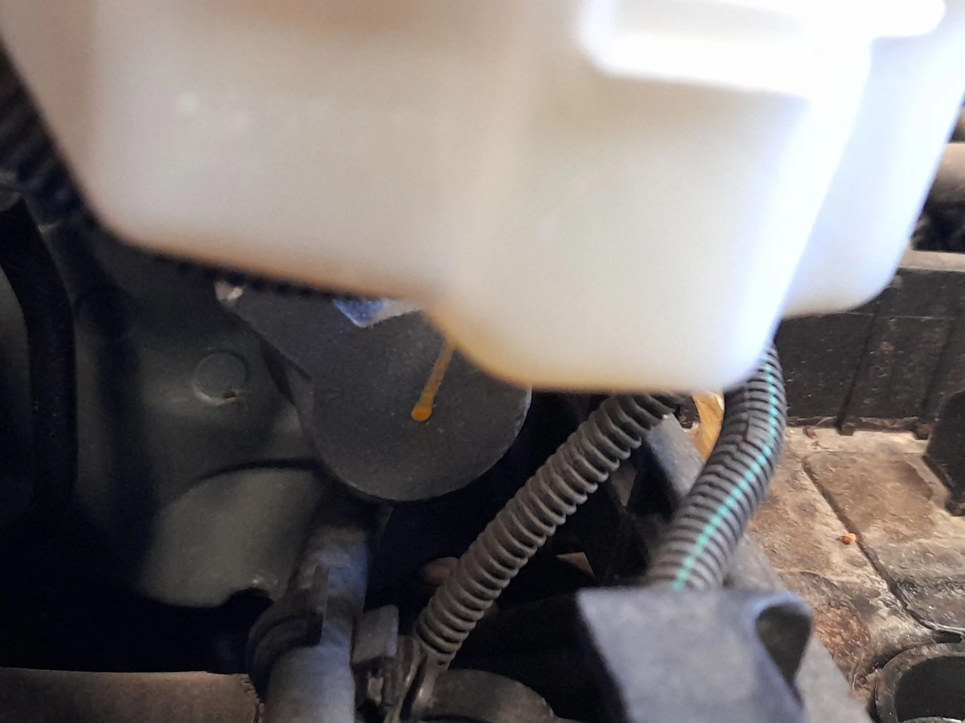Bomba Freno para Dacia Sandero Iii