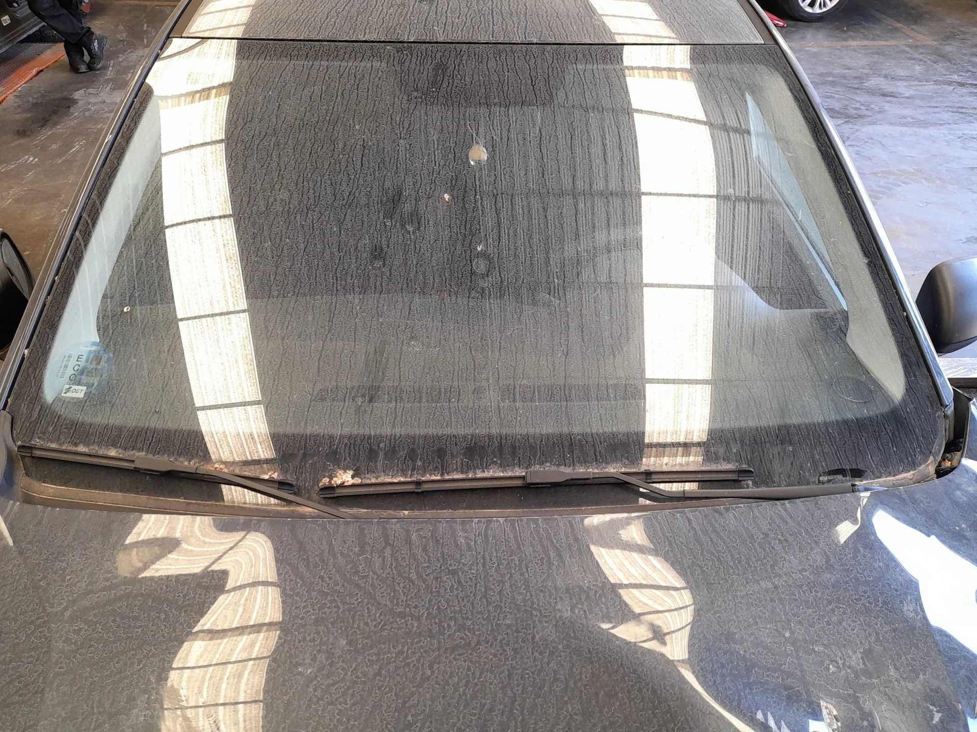 Parabrisas para Dacia Sandero Iii
