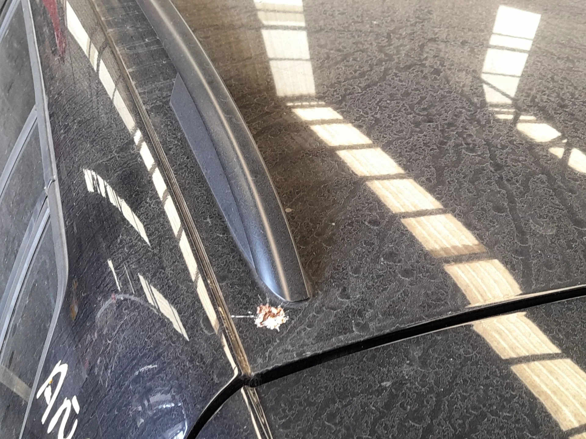 Barras Techo para Volkswagen Tiguan (5N_)