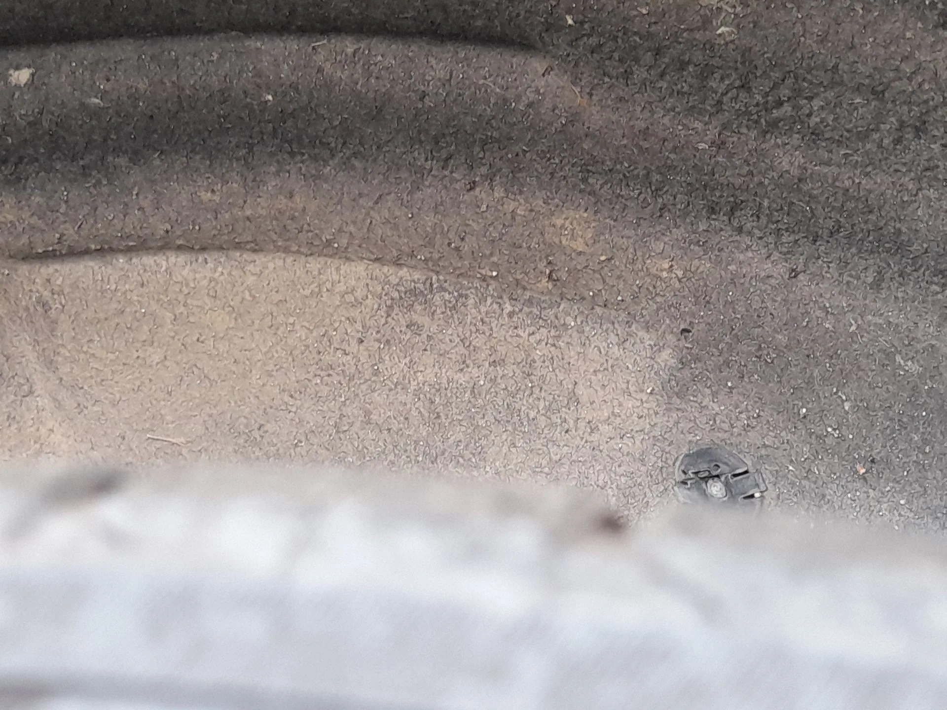 Plastico Pase Rueda Tras. Izq. para Audi A5 Sportback (8Ta)