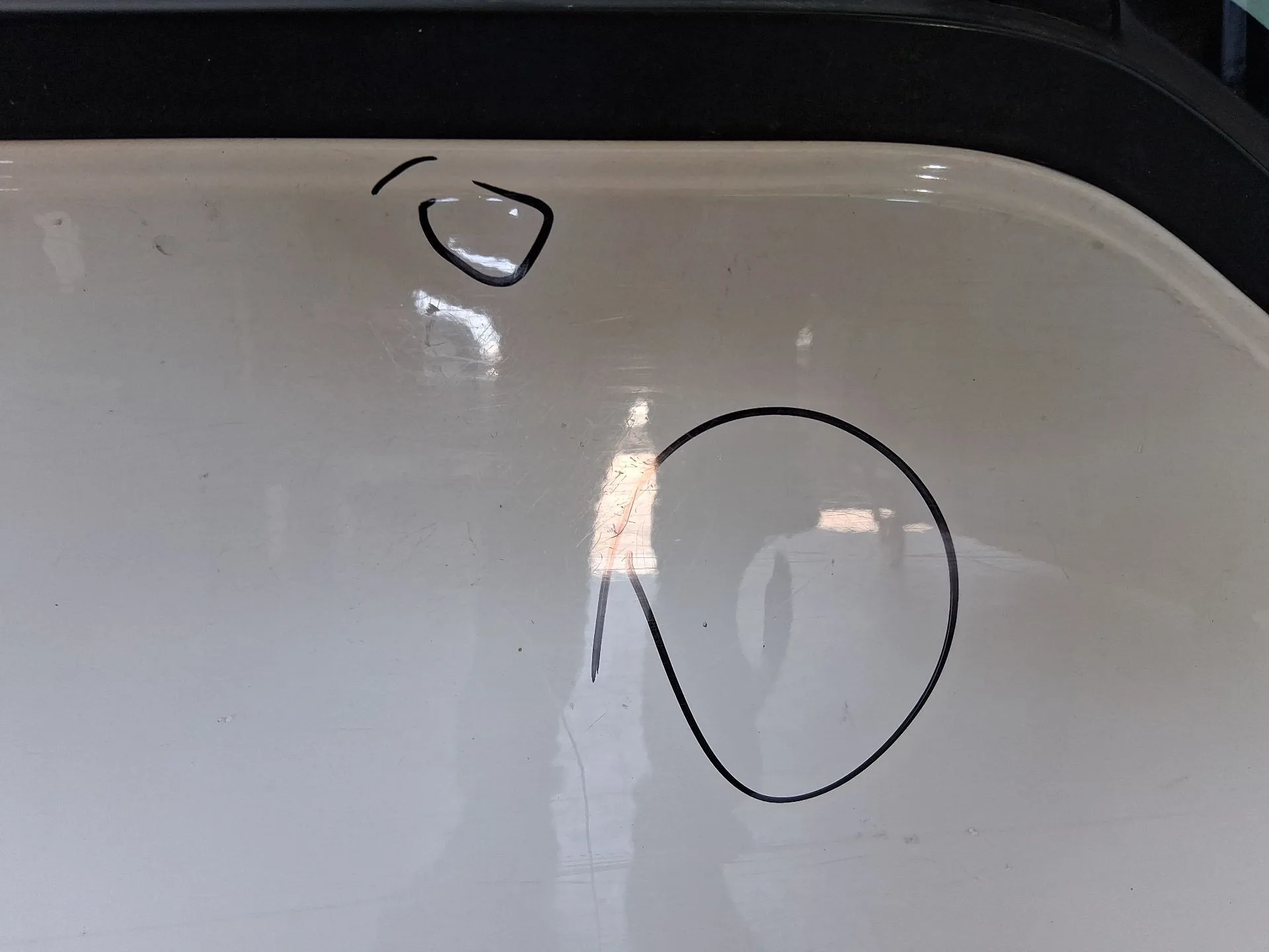 Puerta Delantera Derecha para Ford Tourneo Connect