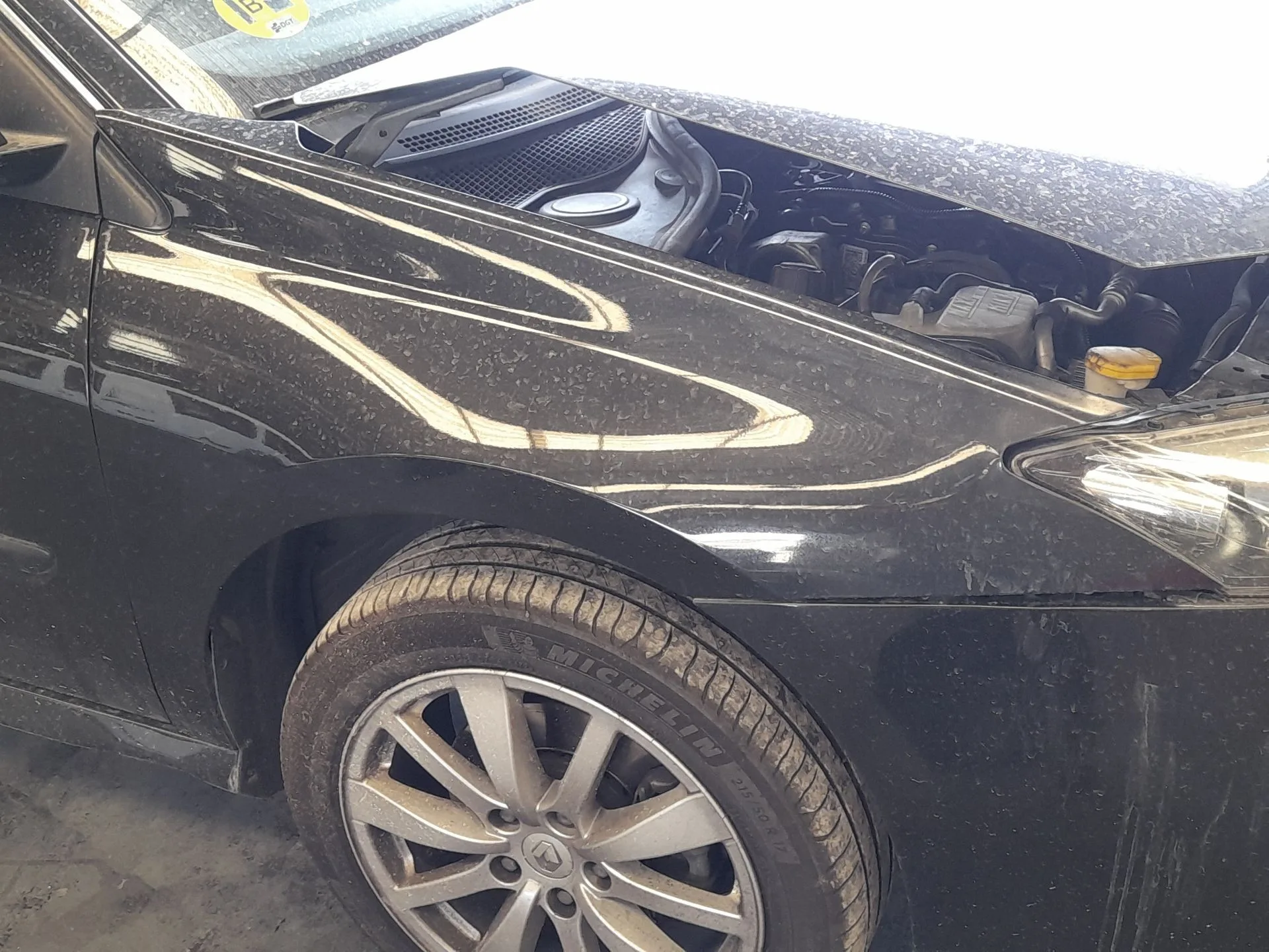 Aleta Delantera Derecha para Renault Laguna Iii (Bt0/1)