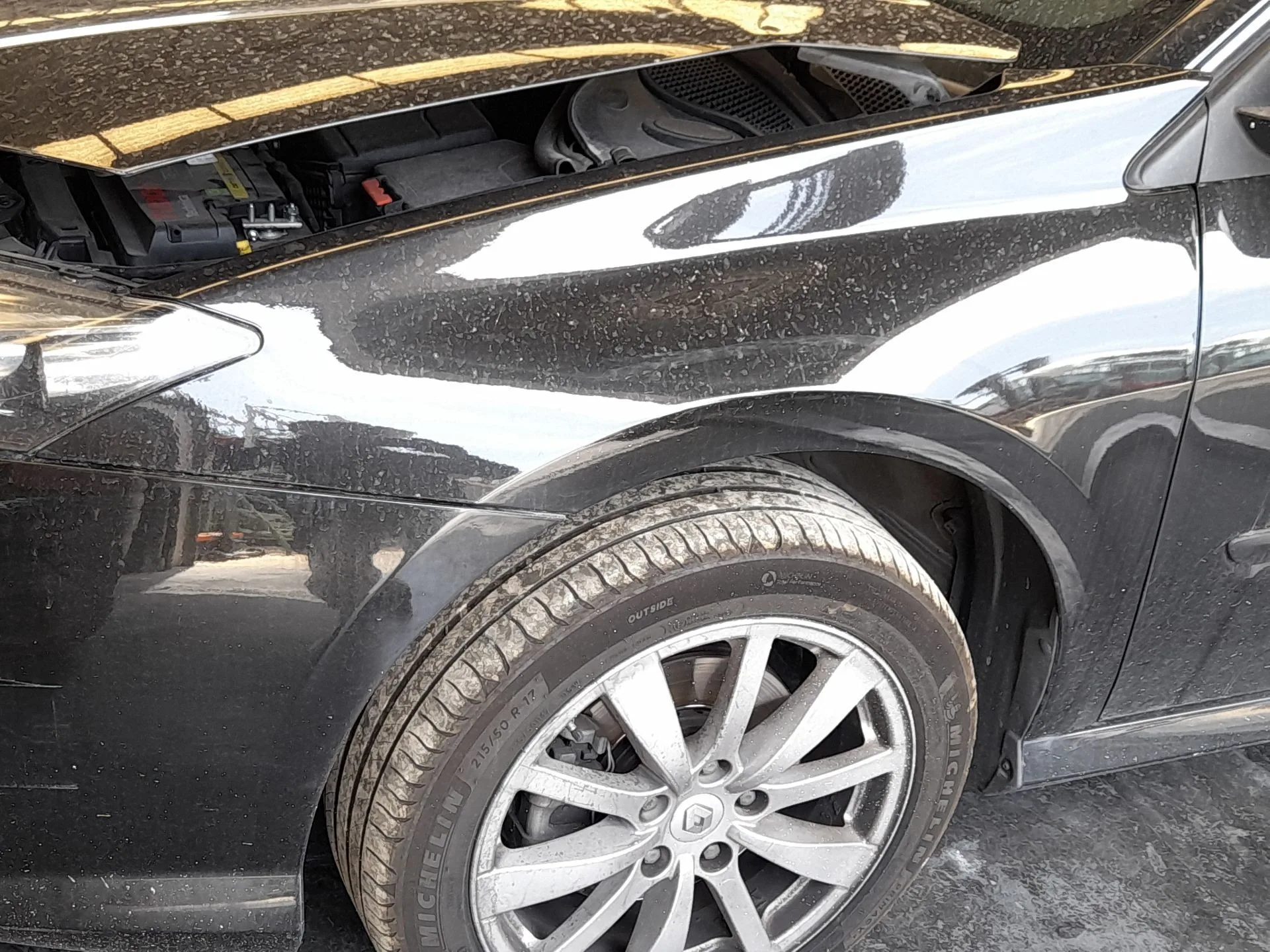 Aleta Delantera Izquierda para Renault Laguna Iii (Bt0/1)