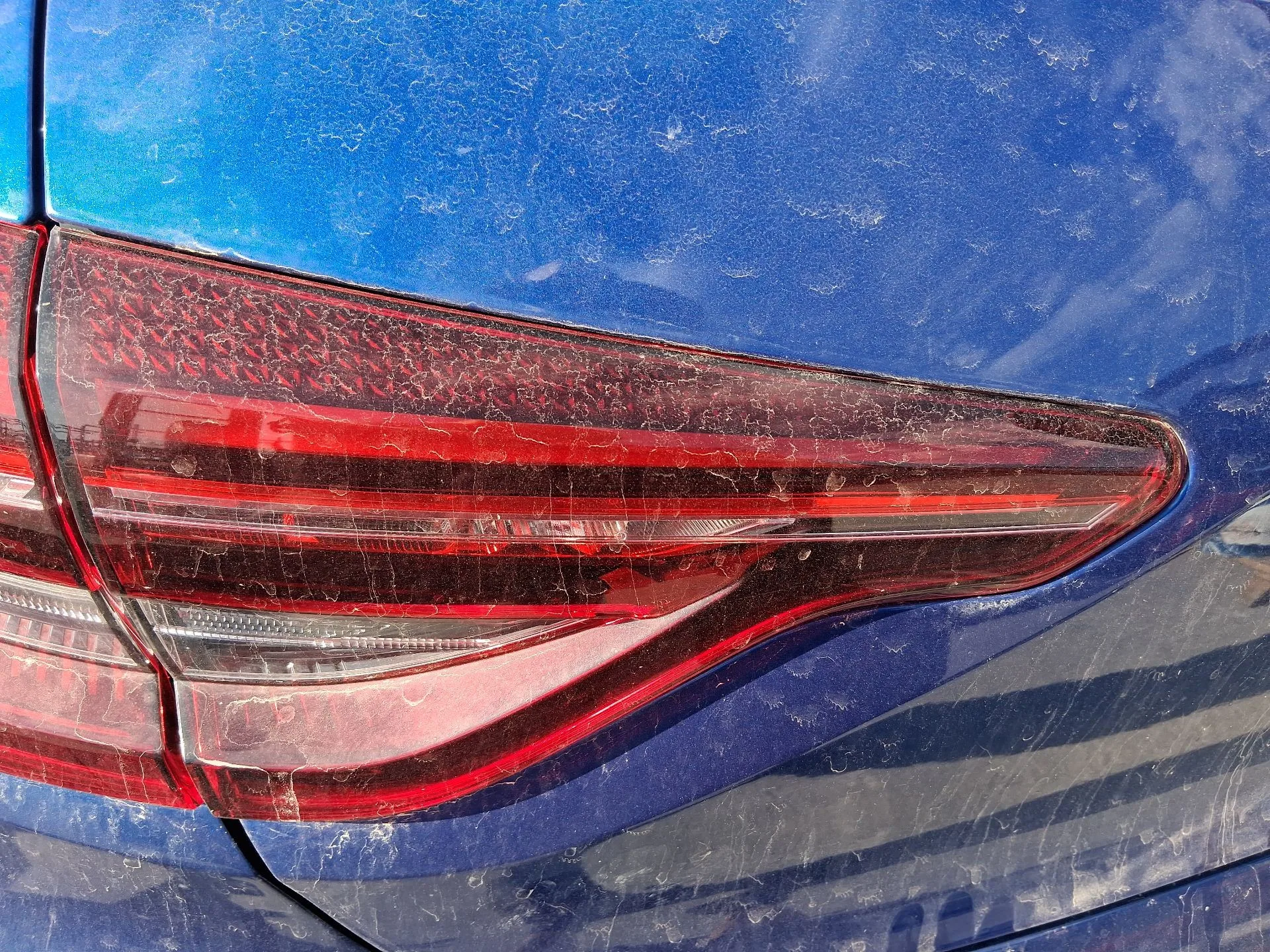 Piloto Trasero Izquierdo Interior para Renault Clio V (B7_)
