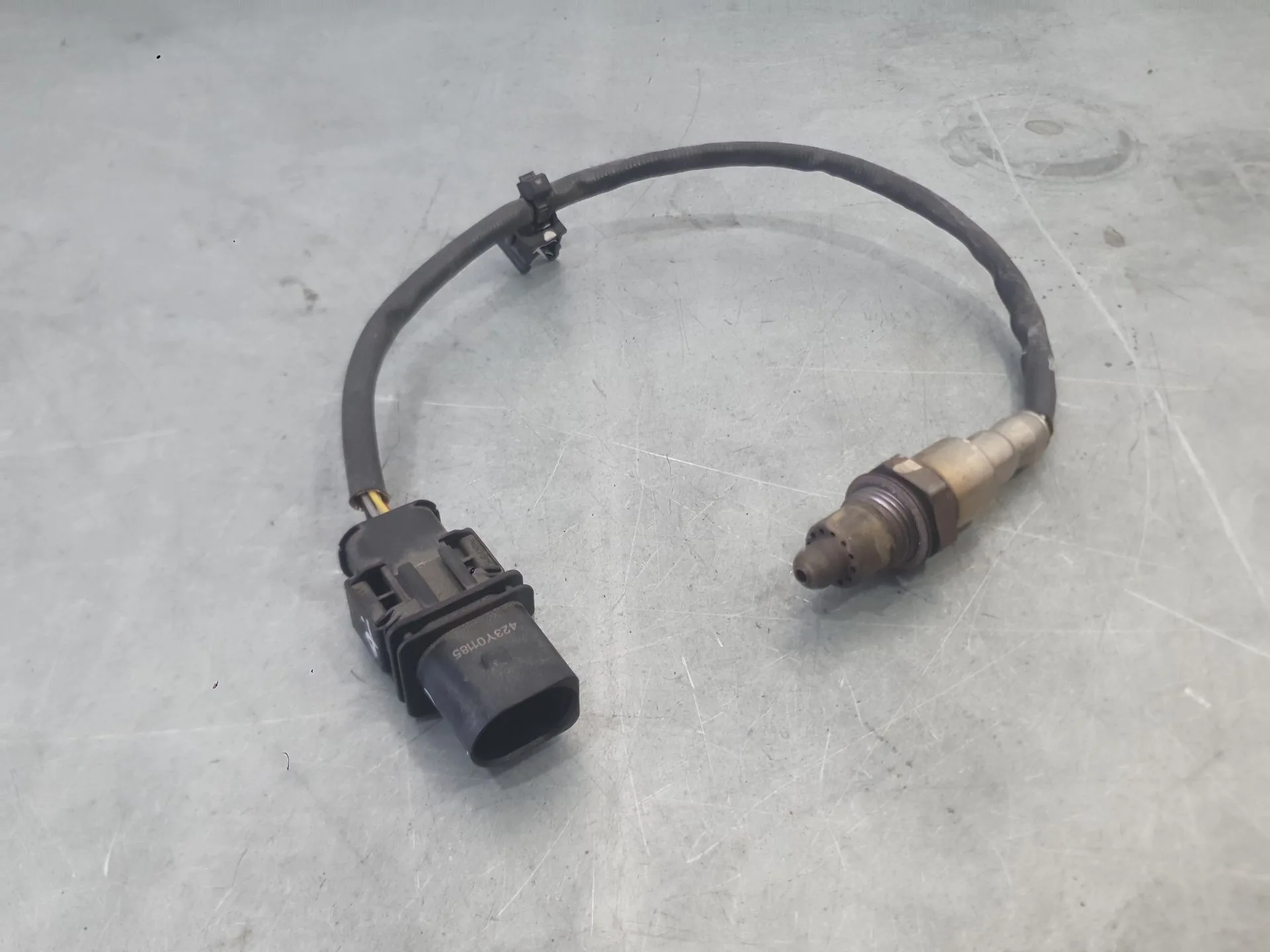 Sonda Lambda para Mg Mg 3 (5Lfp)