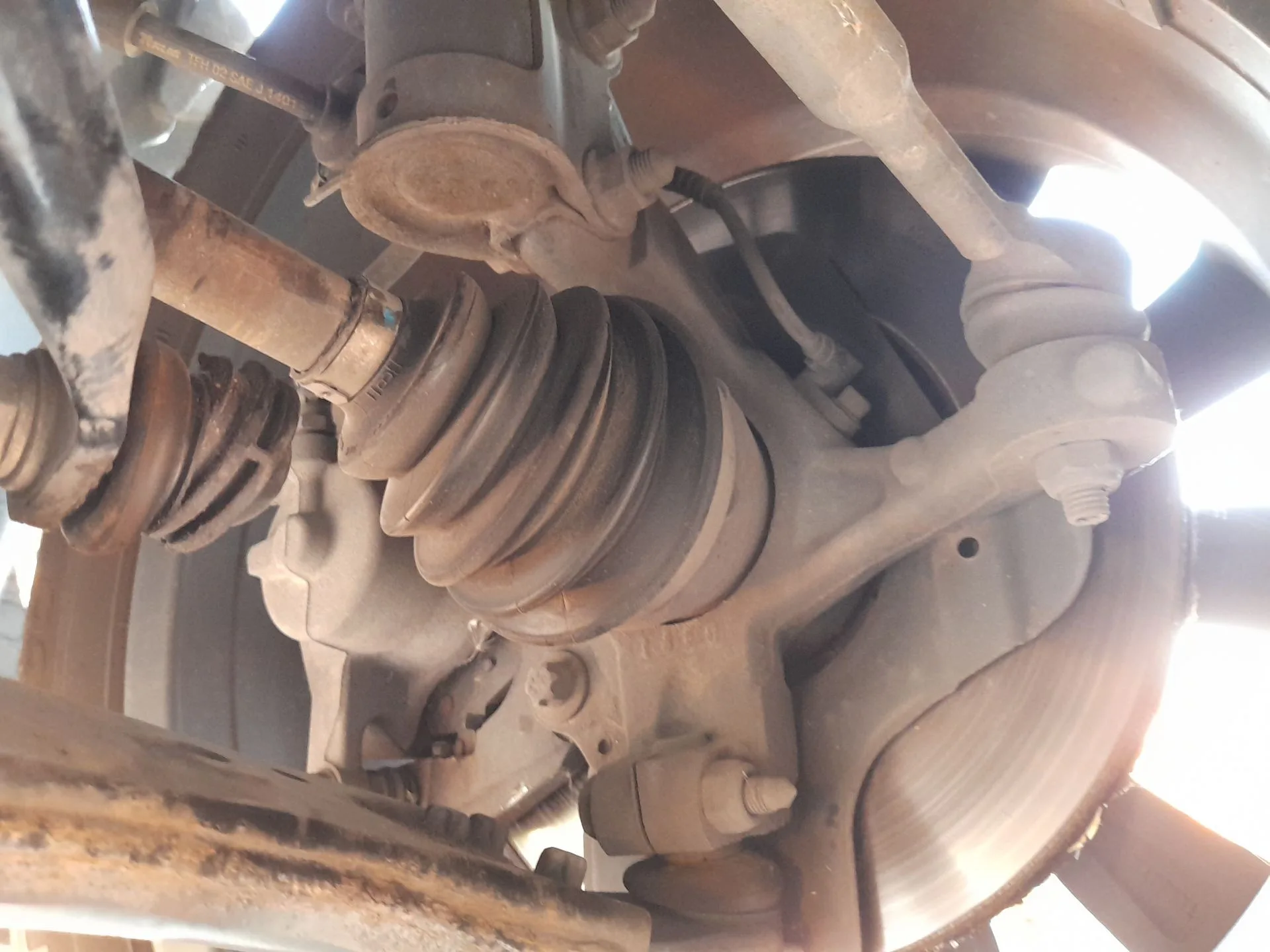 Mangueta Delantera Derecha para Fiat Tipo Station Wagon (356_, 357_)
