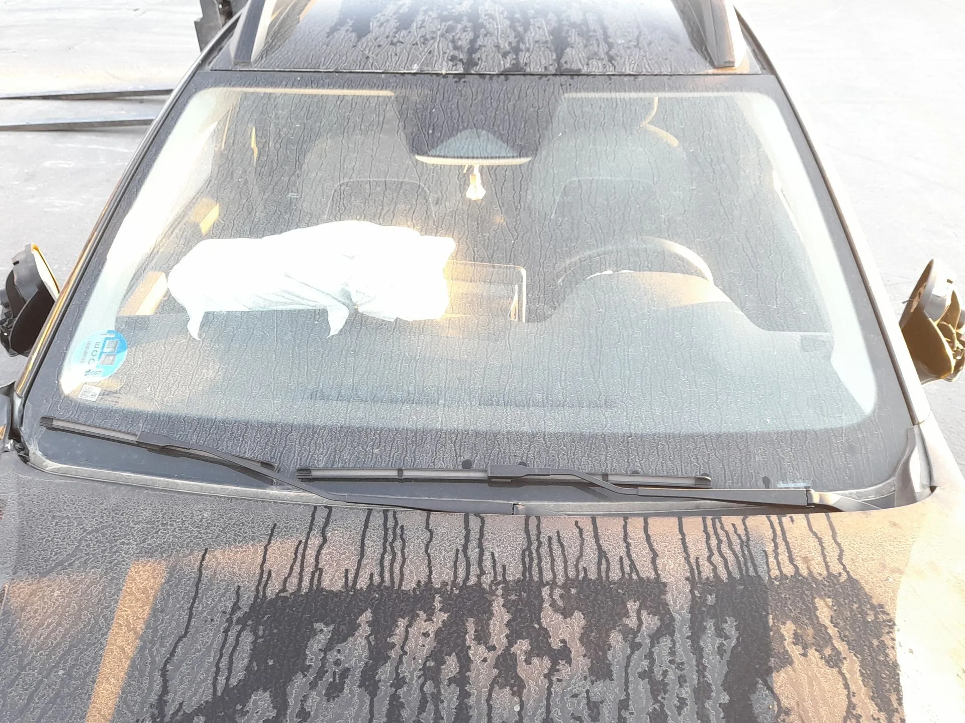 Parabrisas para Dacia Sandero Iii
