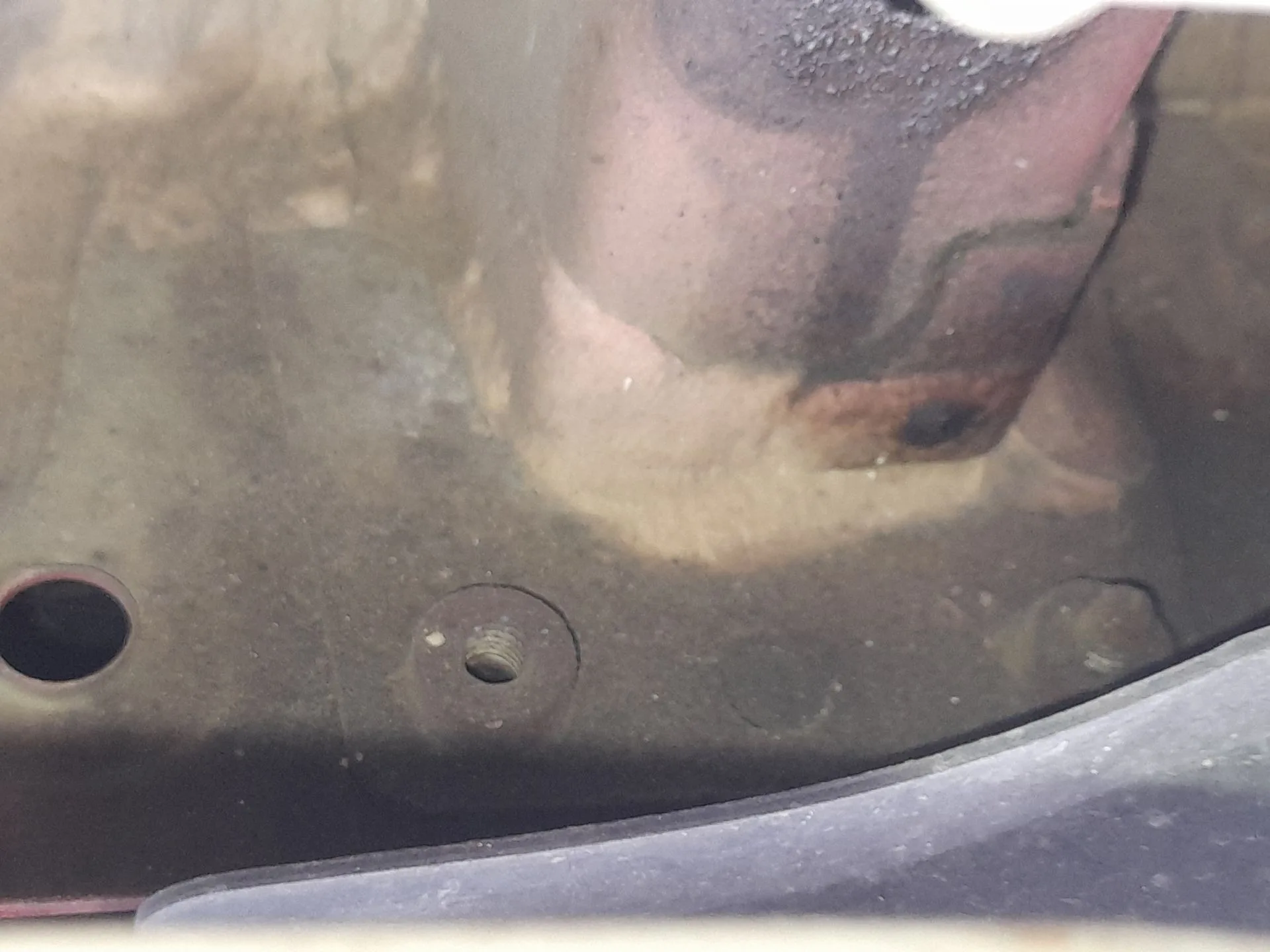 Refuerzo Paragolpes Trasero para Seat Leon (5F1)
