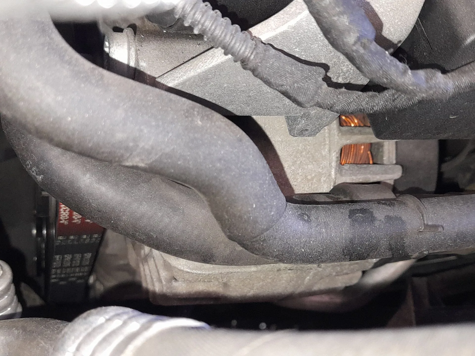 Alternador para Seat Leon (1P1)