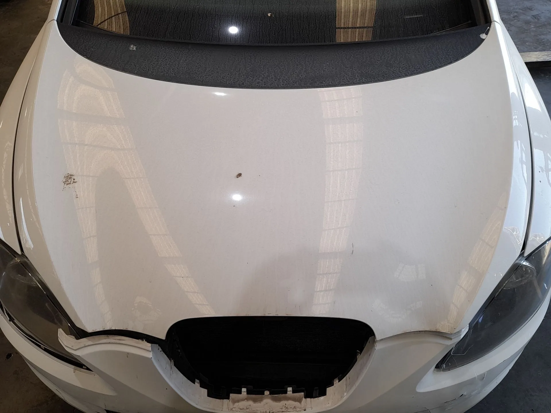 Capot para Seat Leon (1P1)