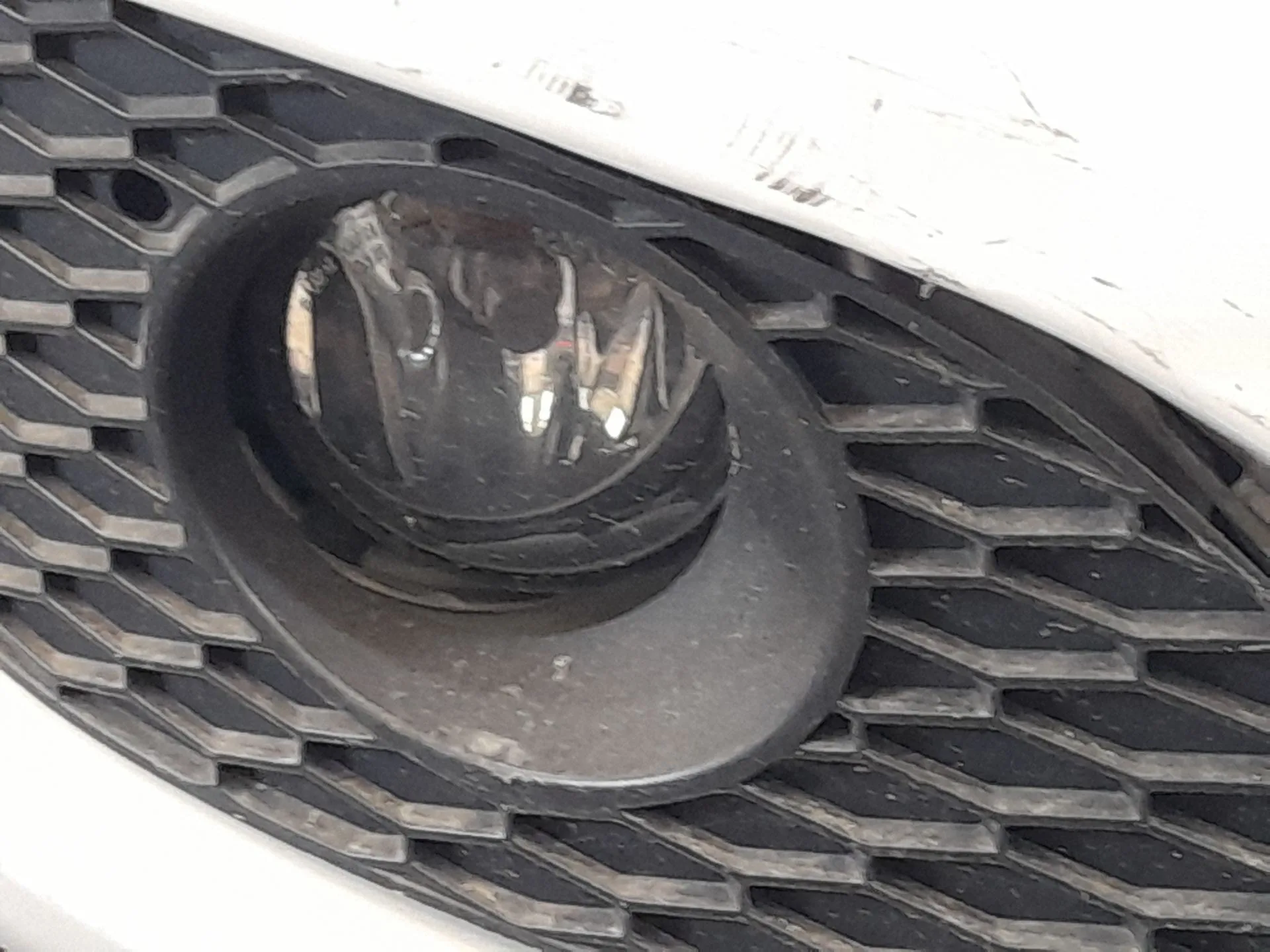 Faro Antiniebla Derecho para Seat Leon (1P1)