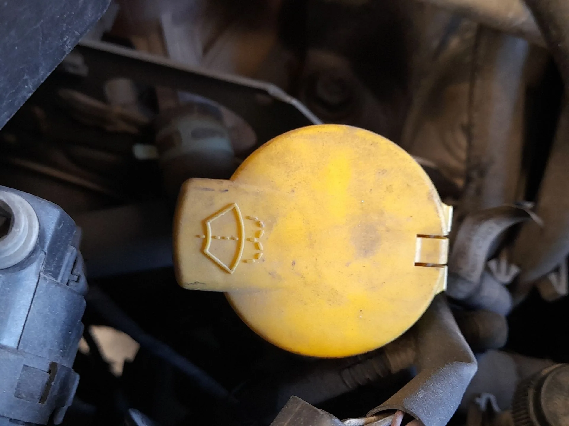 Deposito Limpia para Renault Grand Scenic Iii (Jz0/1_)