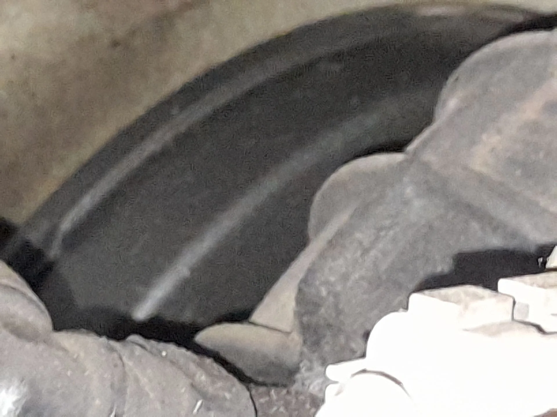 Servofreno para Renault Grand Scenic Iii (Jz0/1_)