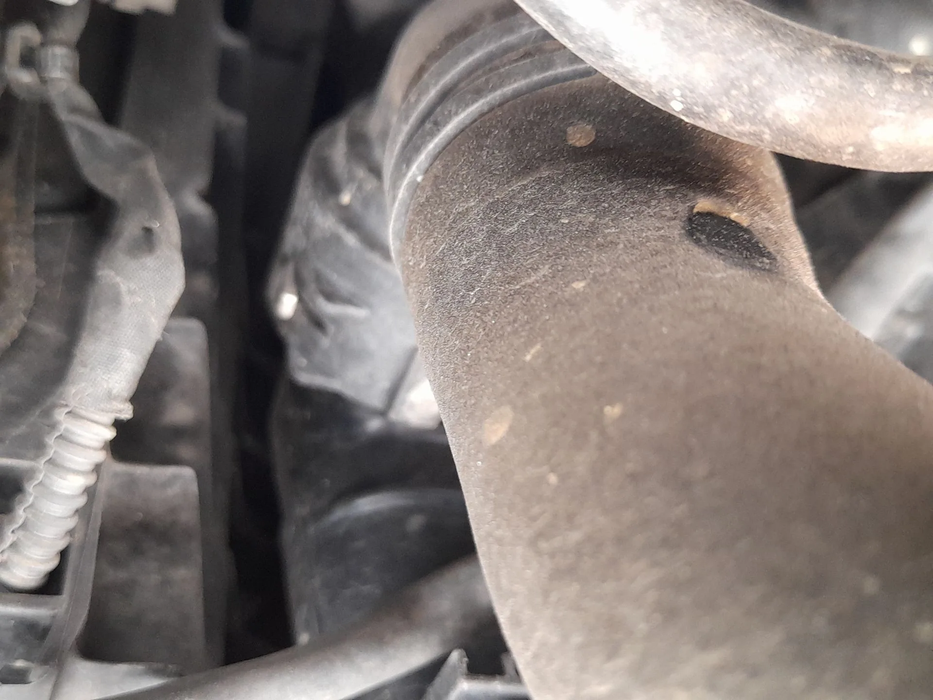 Radiador Agua para Seat Ibiza V (Kj1, Kjg)