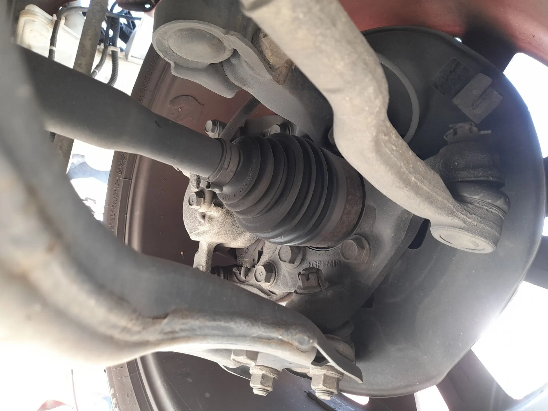 Mangueta Delantera Derecha para Toyota Auris (-E18) 1.8 Hybrid (Zwee186)