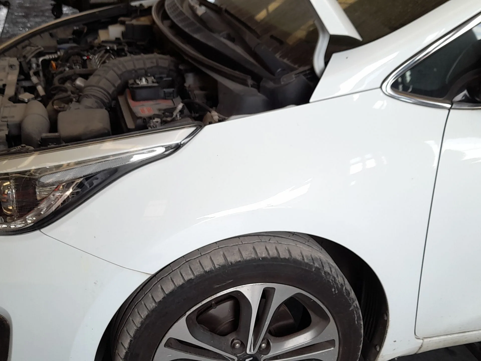 Aleta Delantera Izquierda para Kia Cee'd Sportswagon (Jd)