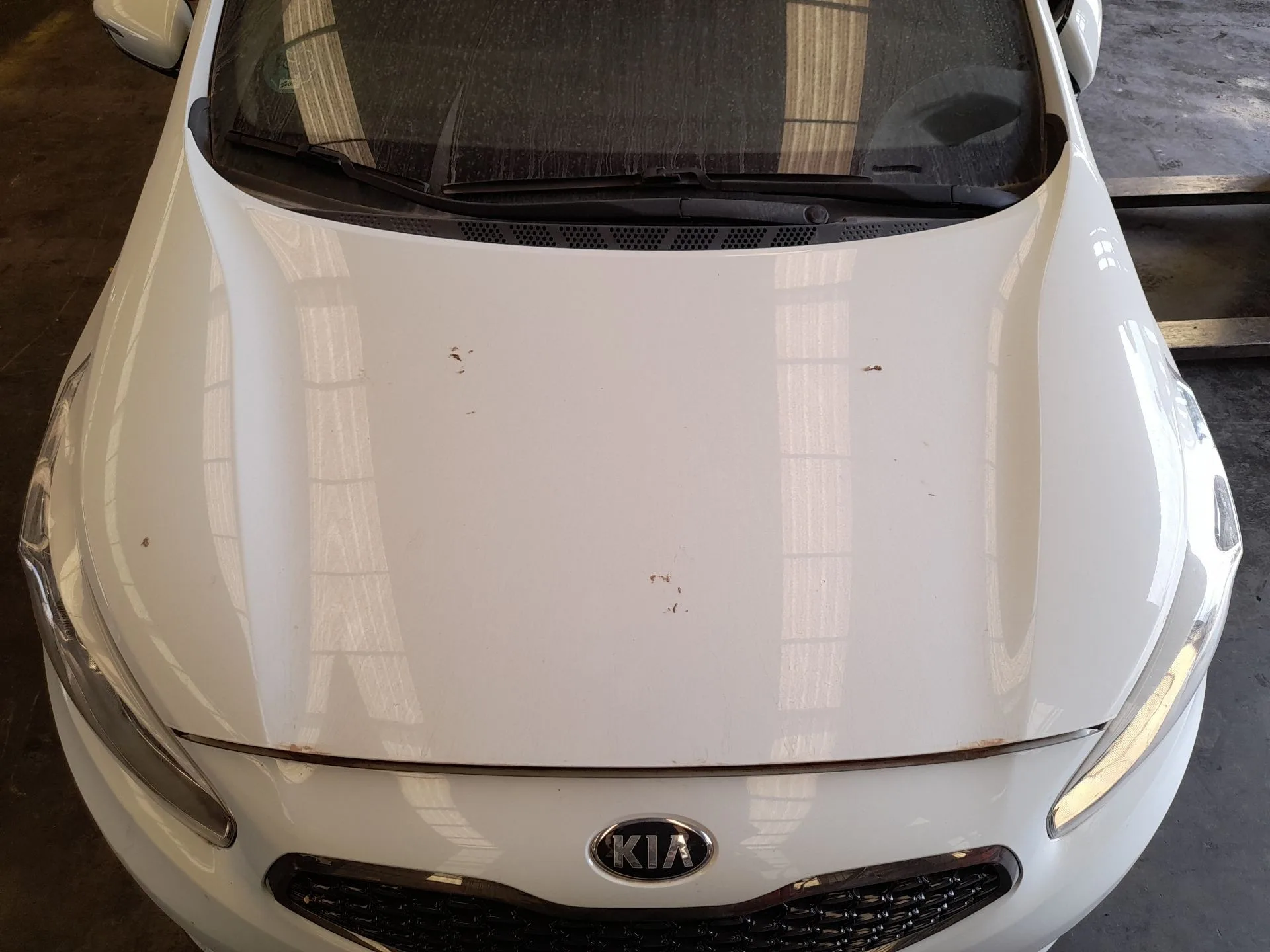 Capot para Kia Cee'd Sportswagon (Jd)