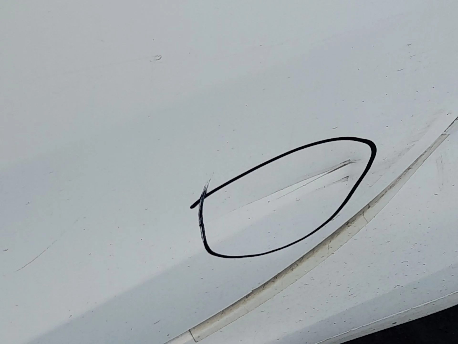 Puerta Trasera Izquierda para Fiat Tipo Station Wagon (356_, 357_)