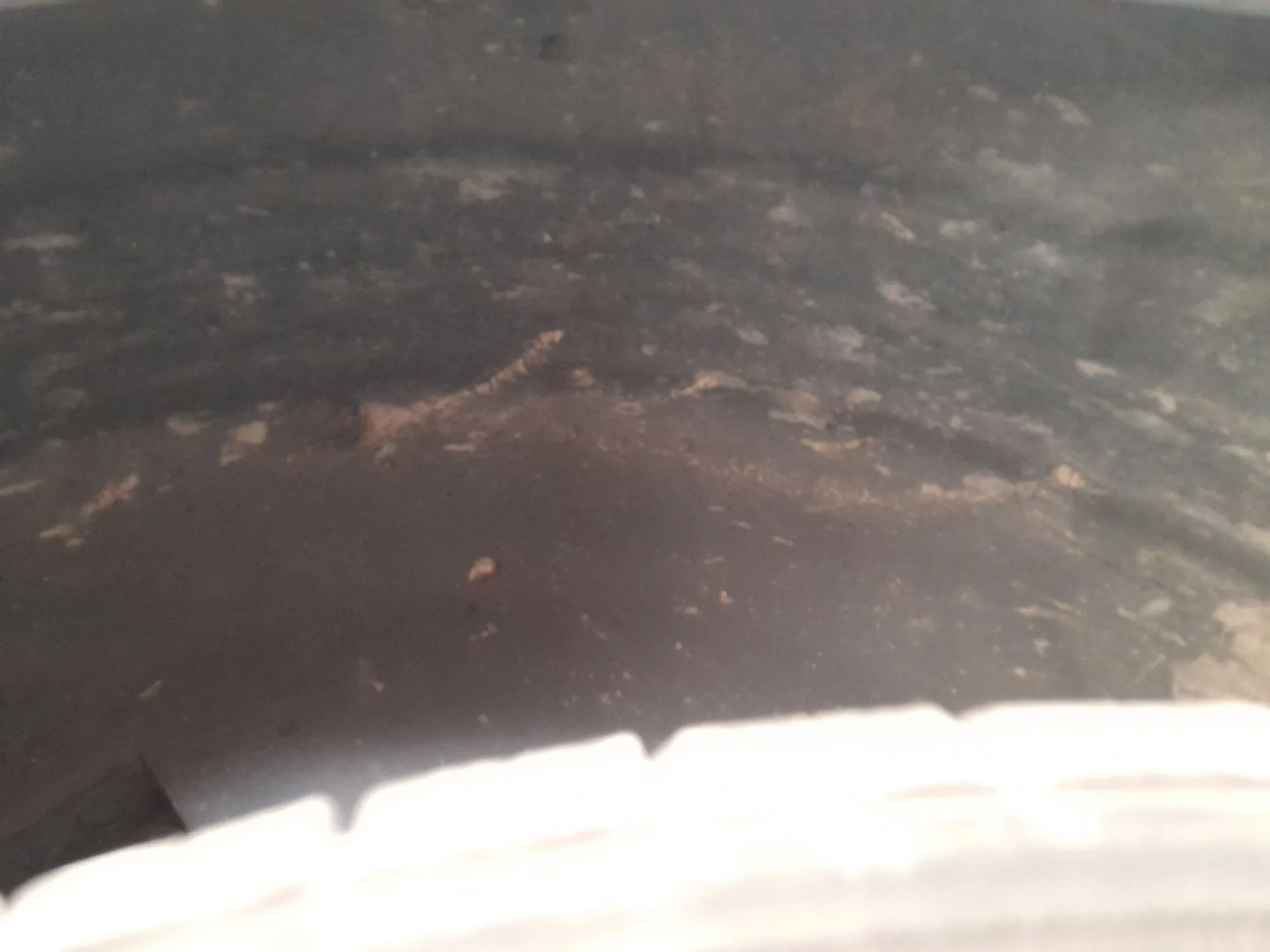 Plastico Pase Rueda Tras. Dch. para Seat Arona (Kj7, Kjp)