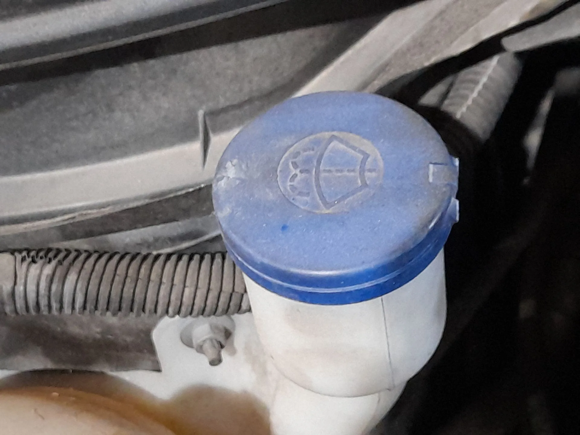 Deposito Limpia para Citroën C4 Cactus