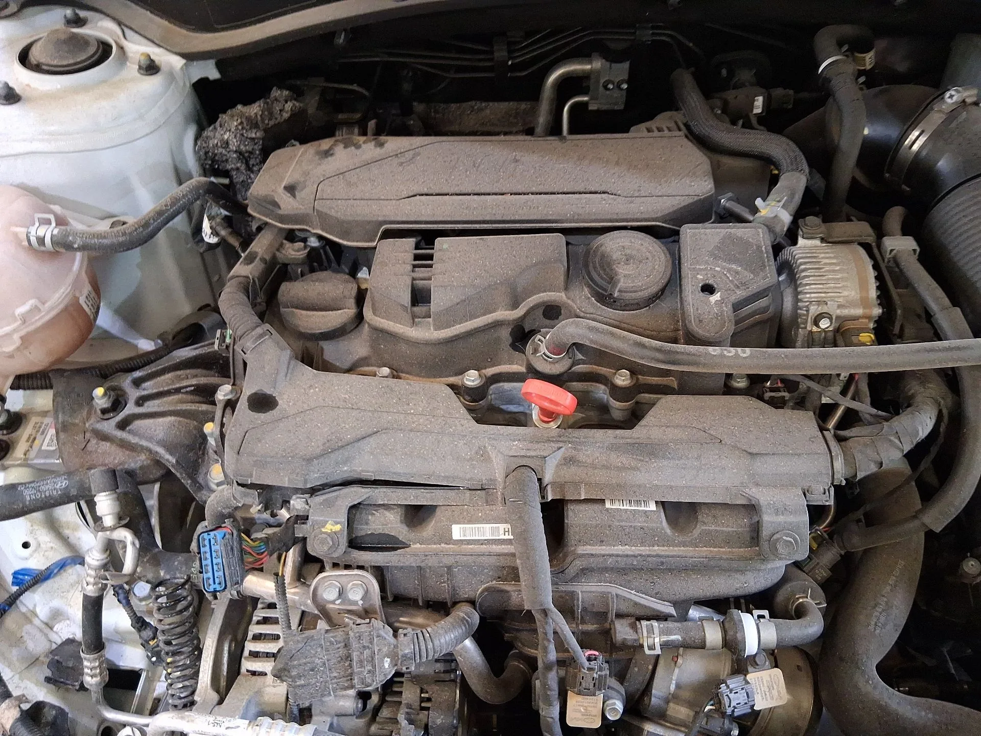 Motor Completo para Kia Sportage V (Nq5)