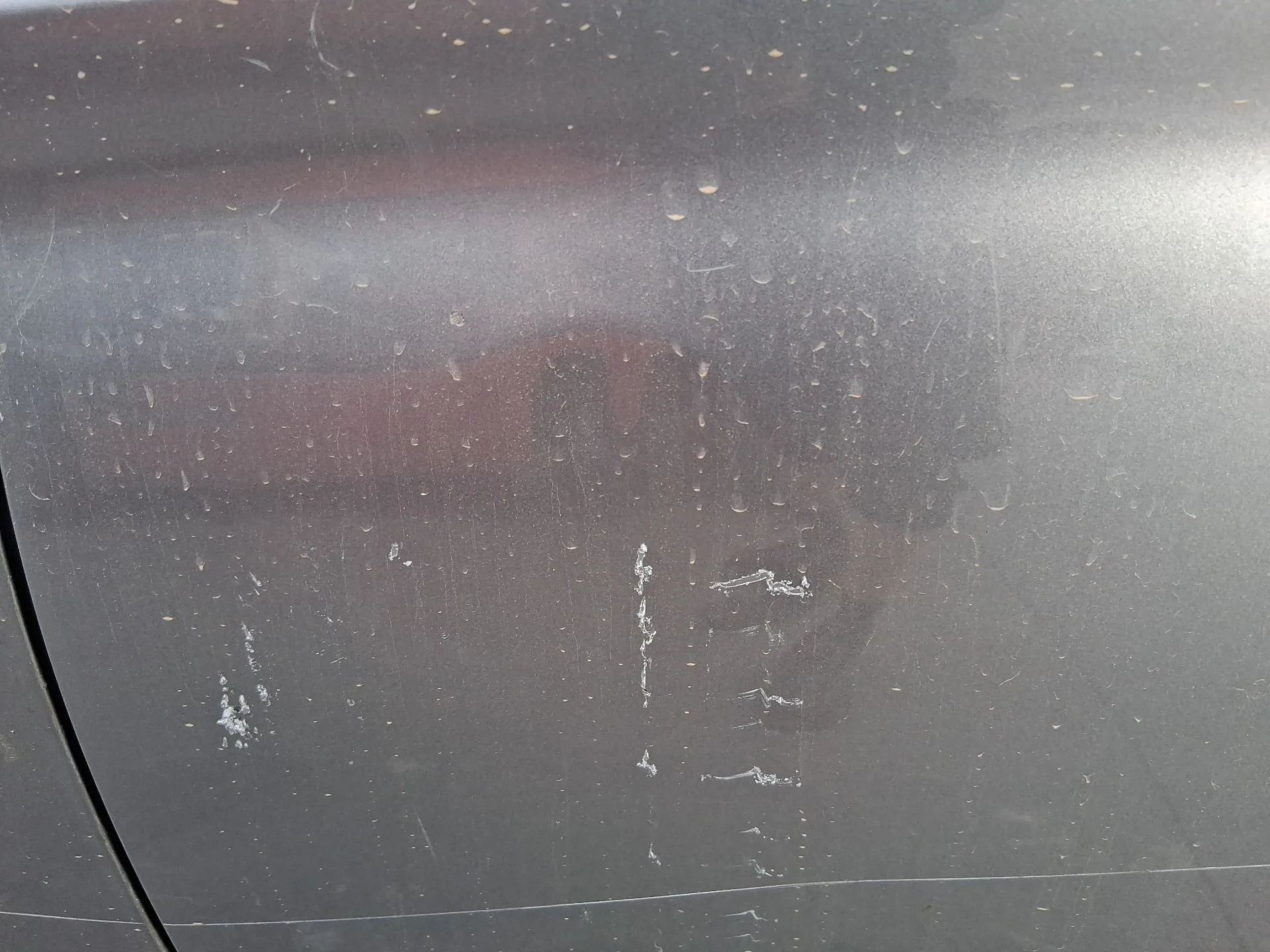 Puerta Trasera Izquierda para Opel Corsa F (P2Jo)