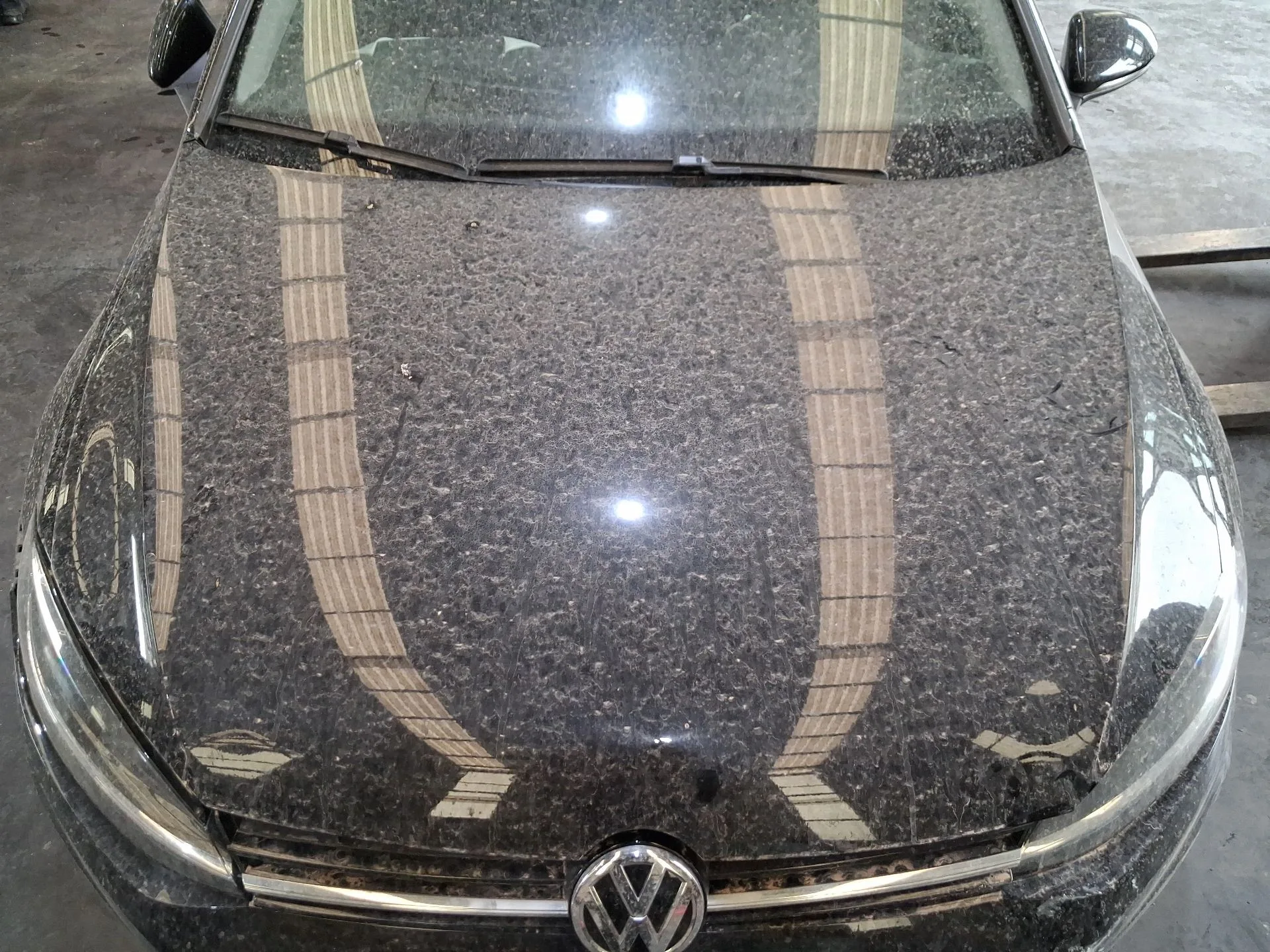 Capot para Volkswagen Golf Vii (5G1, Bq1, Be1, Be2)