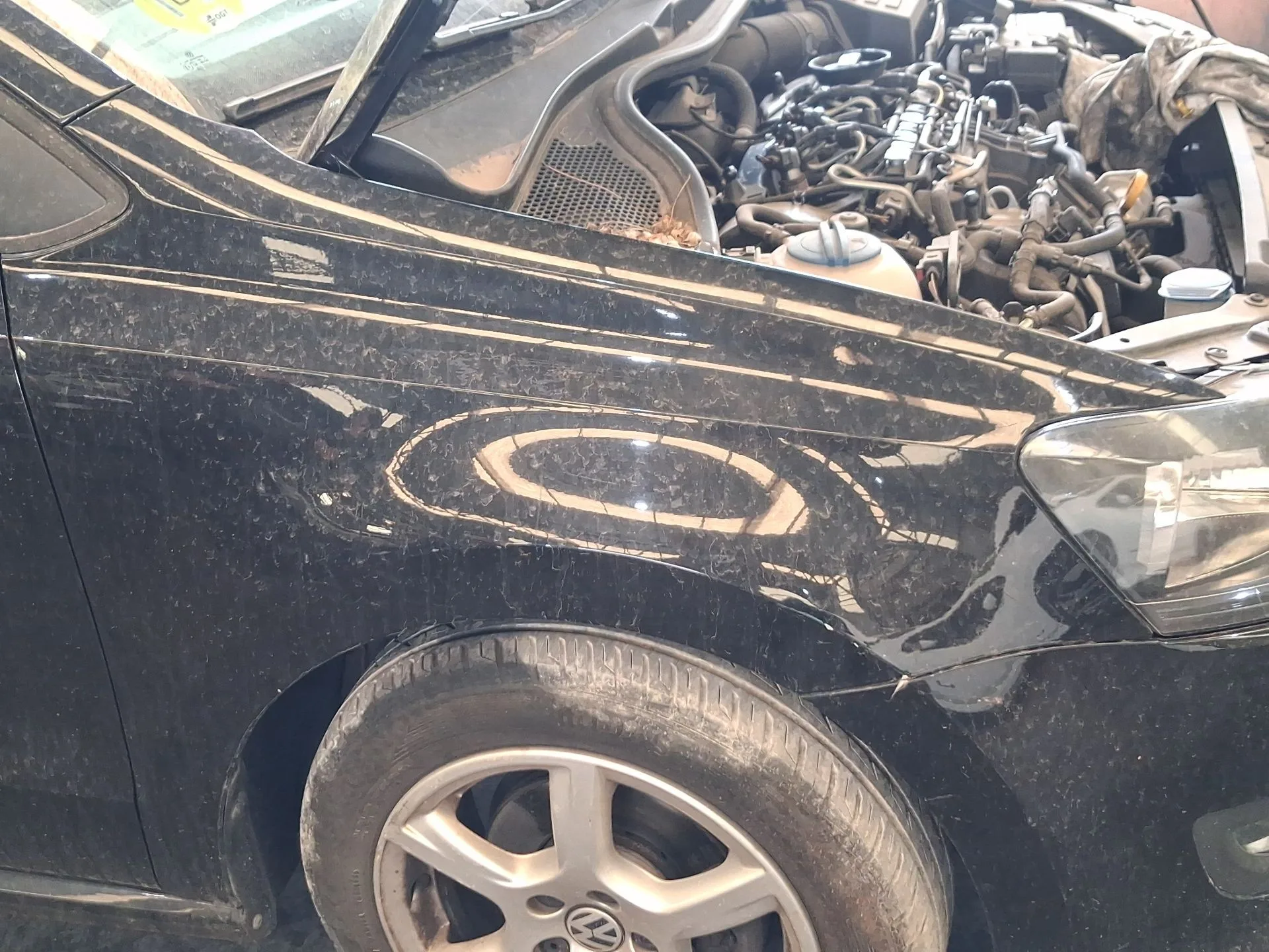 Aleta Delantera Derecha para Volkswagen Polo V (6R1, 6C1)