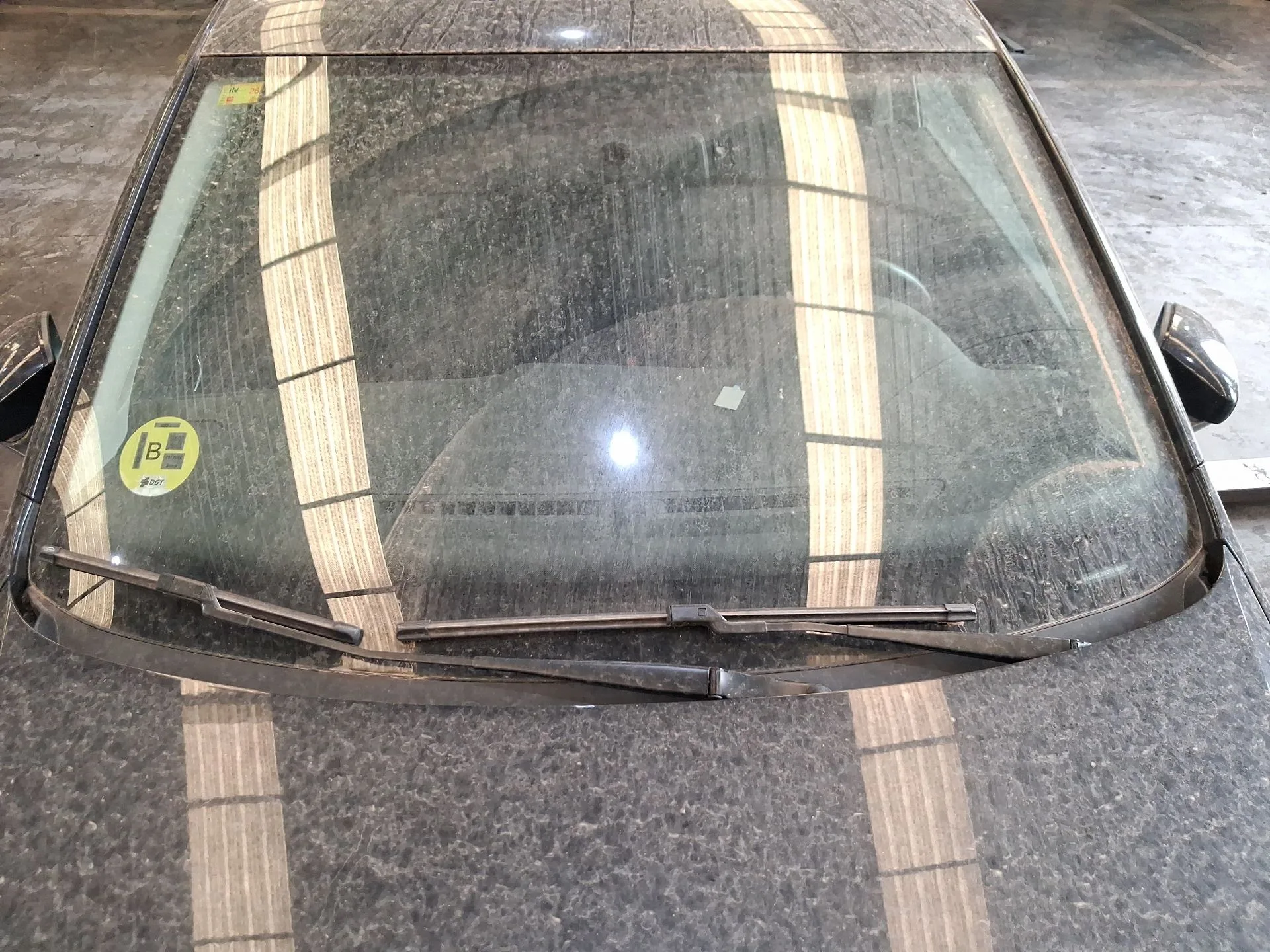 Parabrisas para Volkswagen Polo V (6R1, 6C1)