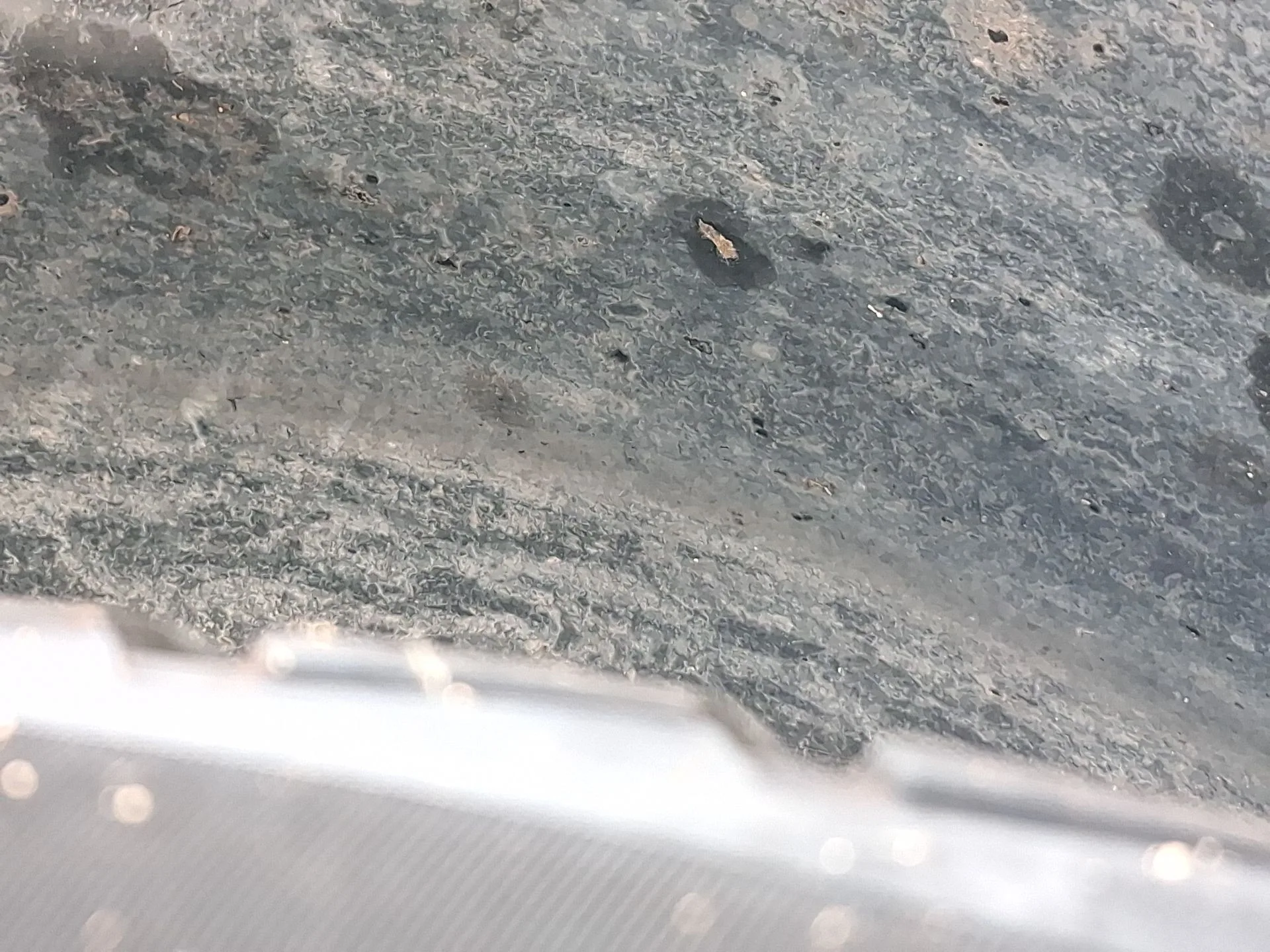 Plastico Pase Rueda Tras. Dch. para Renault Captur Ii (Hf_)