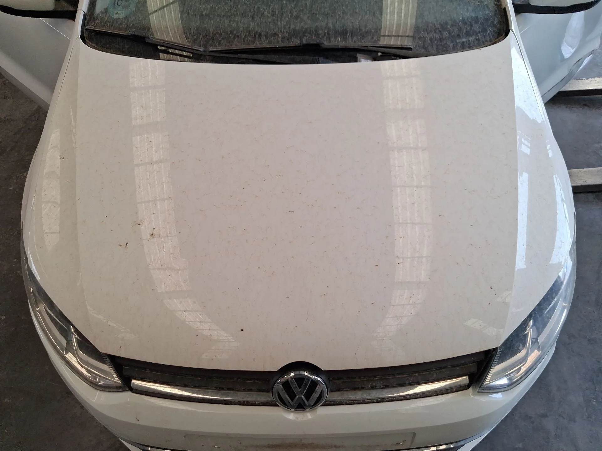 Capot para Volkswagen Polo V (6R1, 6C1)