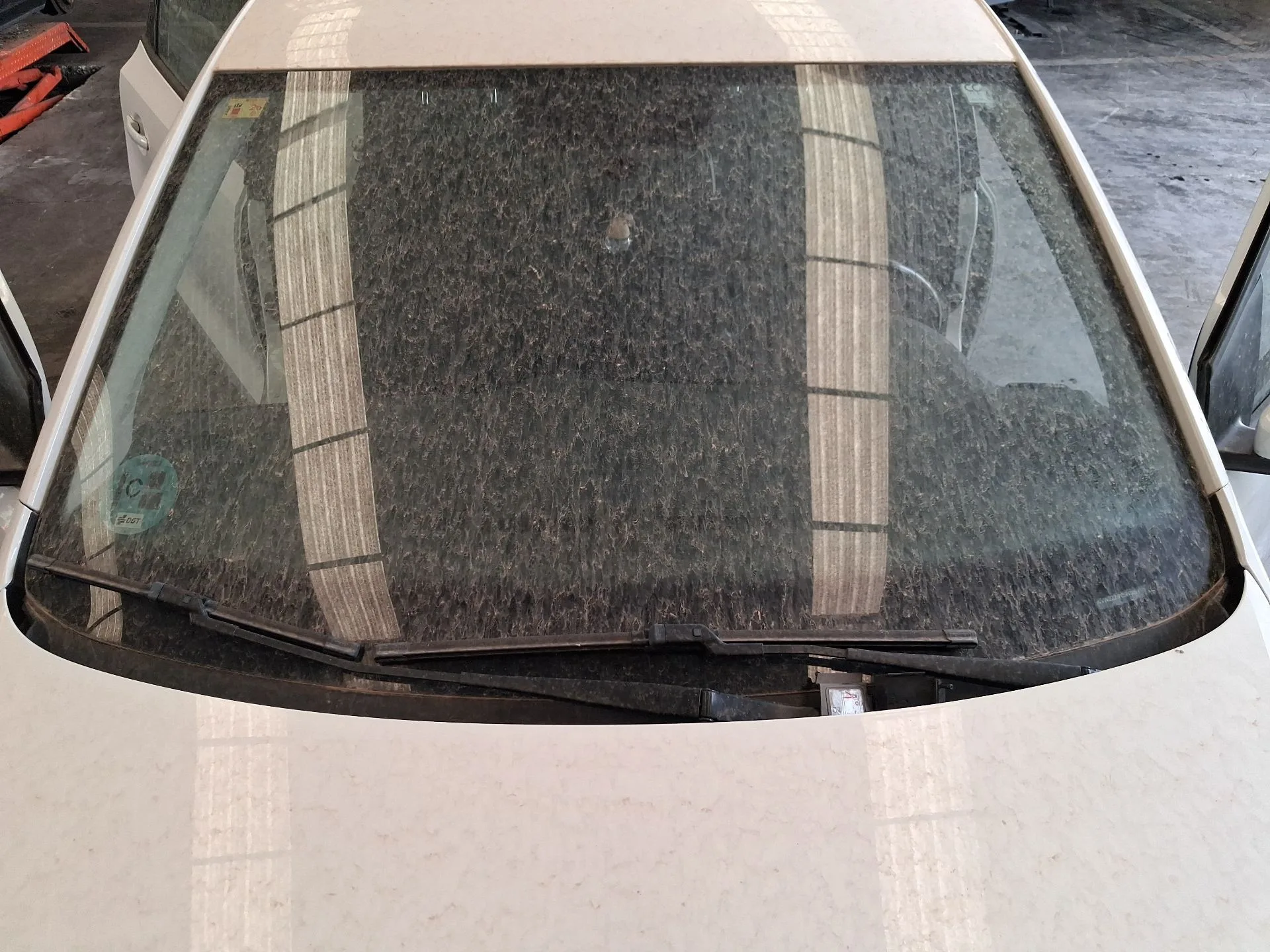 Parabrisas para Volkswagen Polo V (6R1, 6C1)