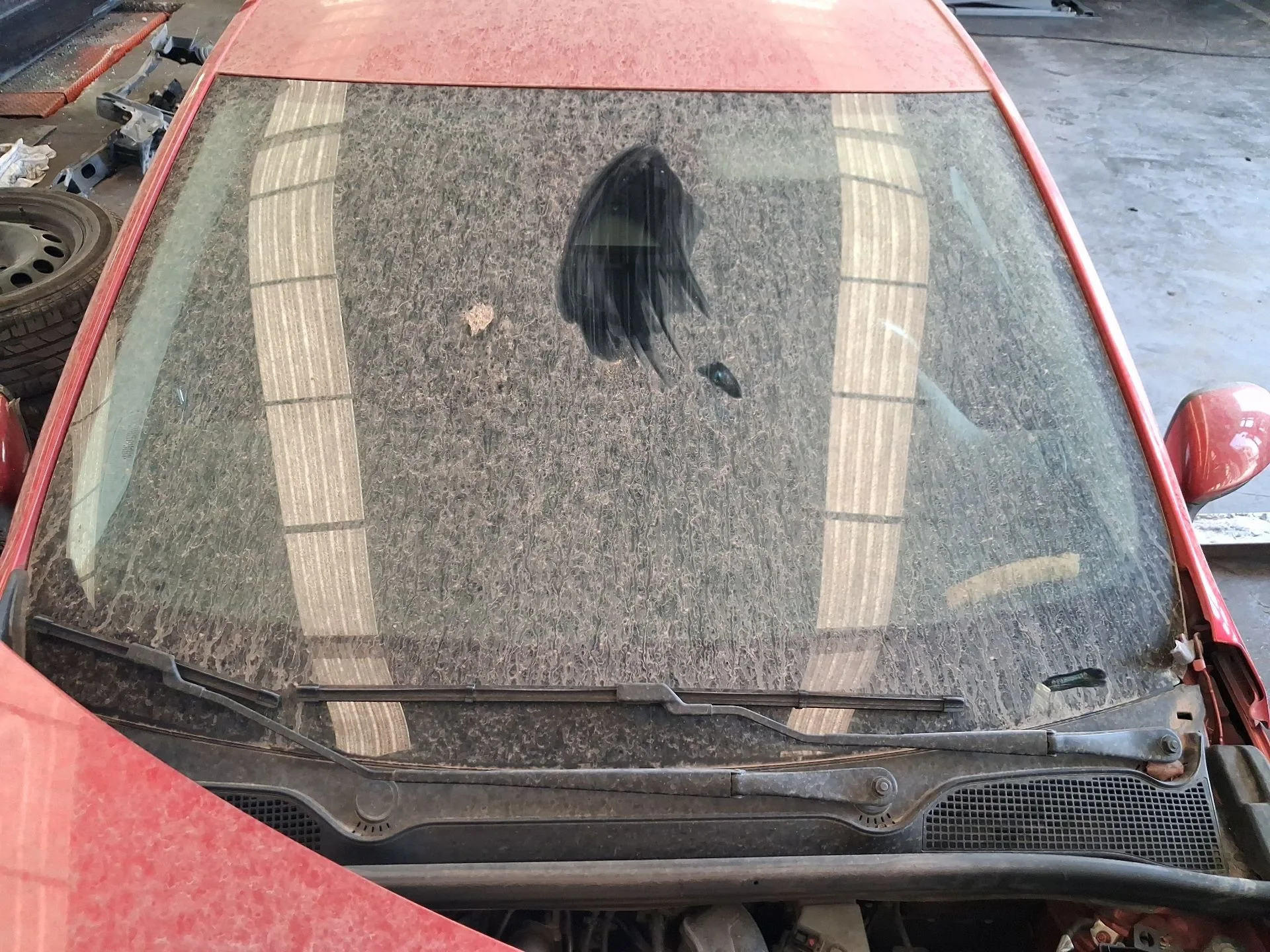 Parabrisas para Renault Clio V (B7_)