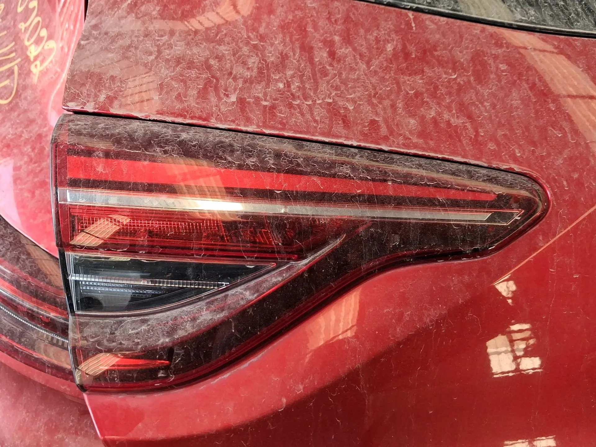 Piloto Trasero Izquierdo Interior para Renault Clio V (B7_)