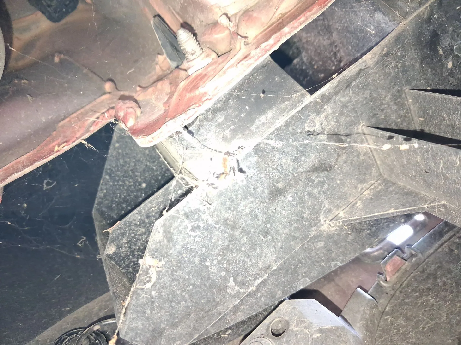 Refuerzo Paragolpes Trasero para Renault Clio V (B7_)