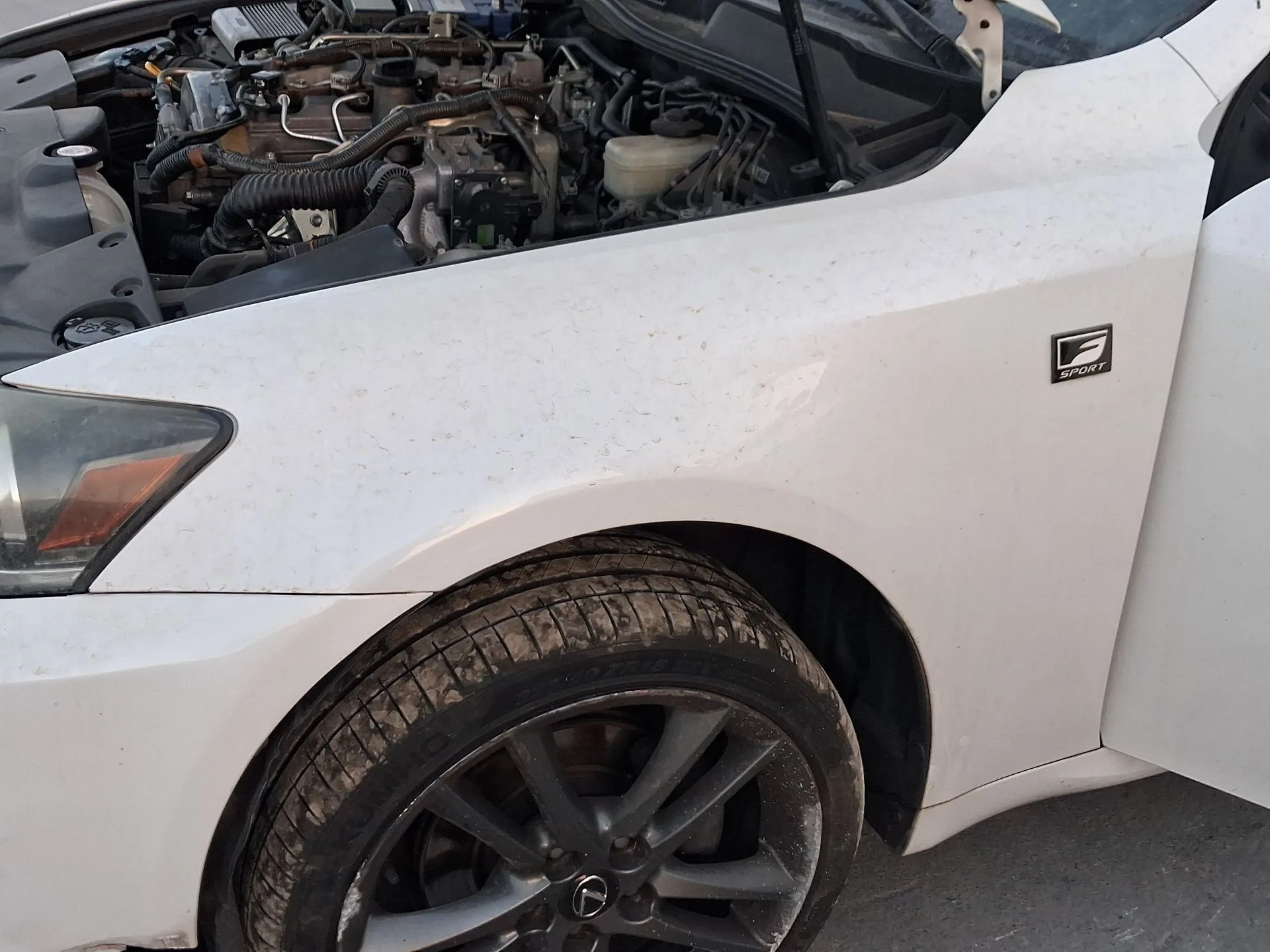 Aleta Delantera Izquierda para Lexus Is Ii (_E2_)
