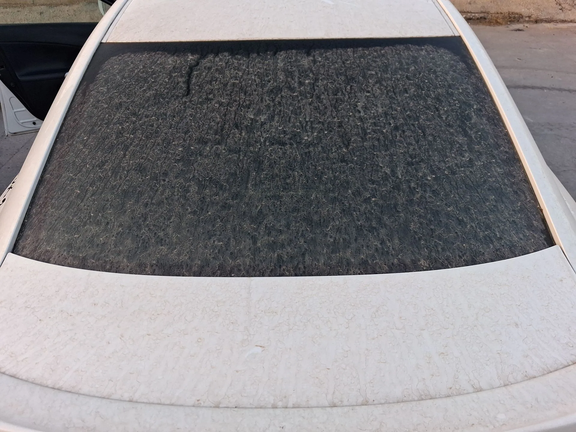 Luna Trasera para Lexus Is Ii (_E2_)