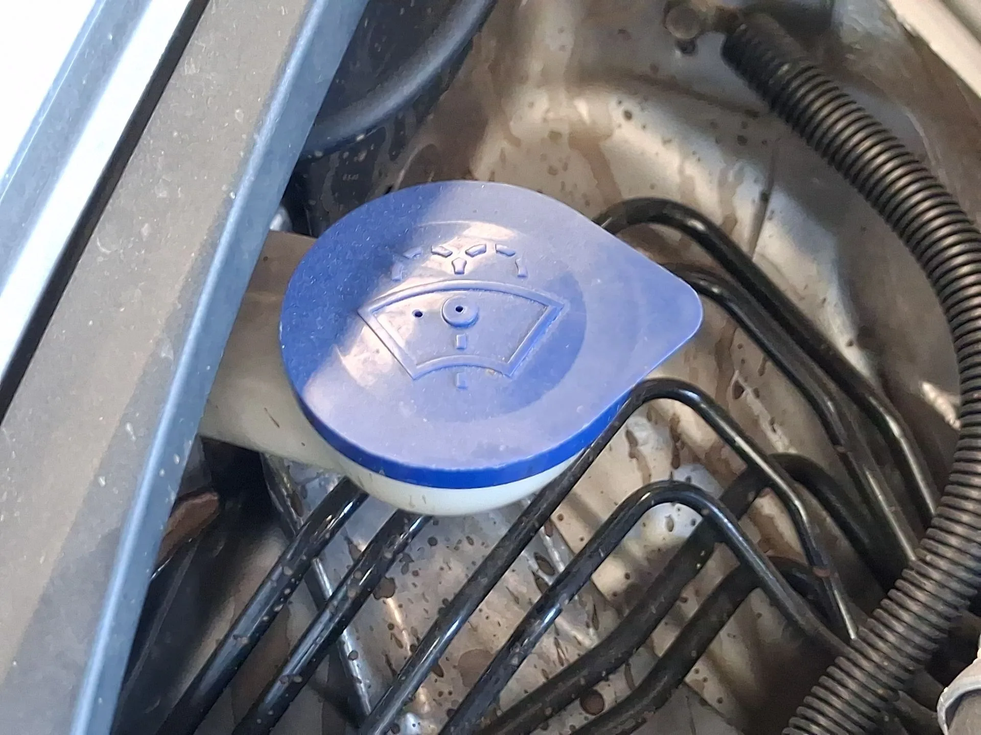 Deposito Limpia para Honda Civic Viii Hatchback (Fn, Fk)