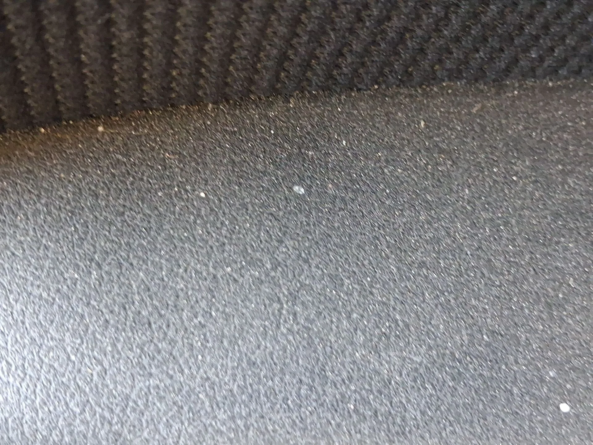 Elevalunas Trasero Izquierdo para Audi A4 B8 Avant (8K5)