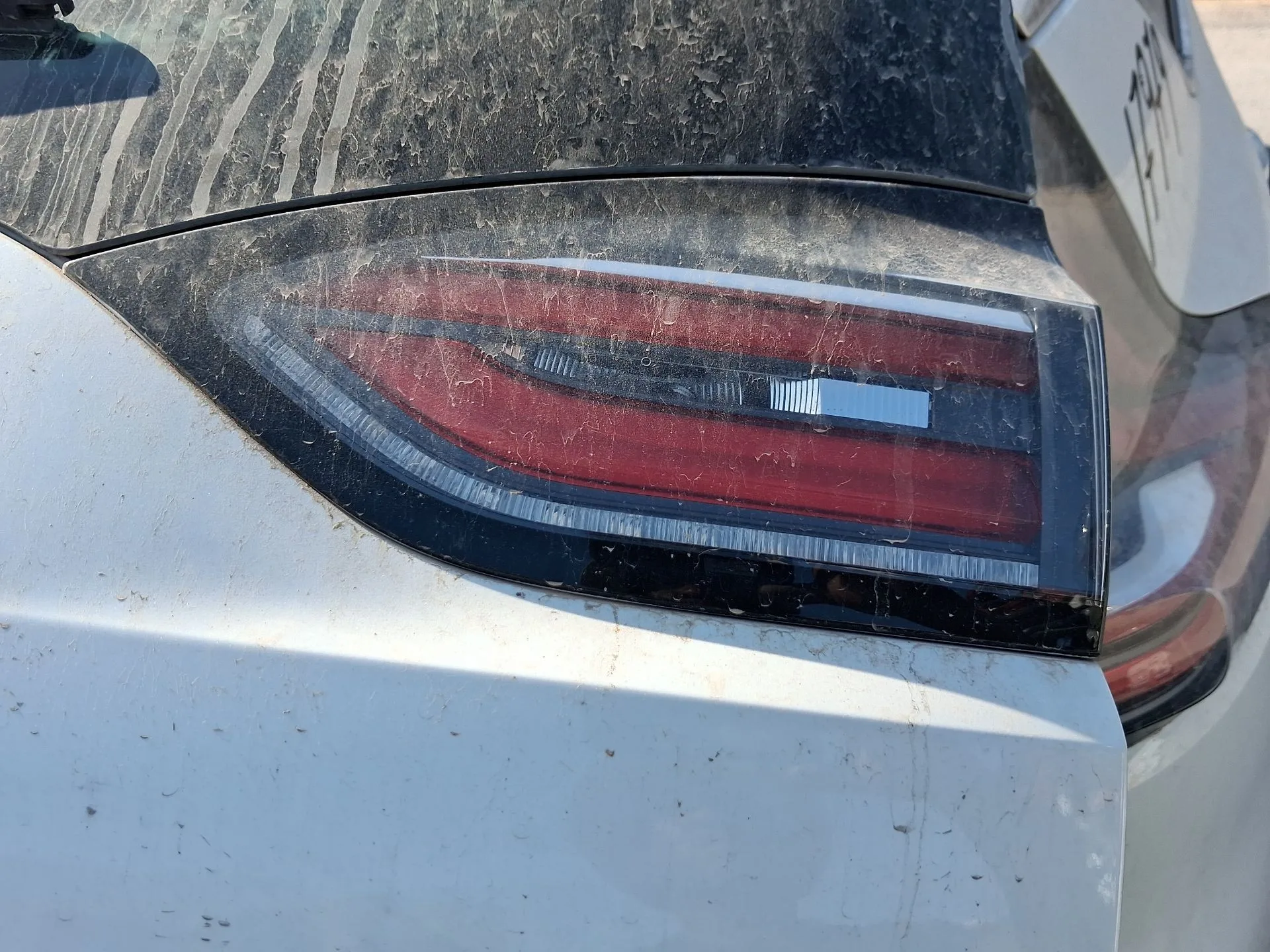 Piloto Trasero Derecho Interior para Renault Espace V (Jr_)