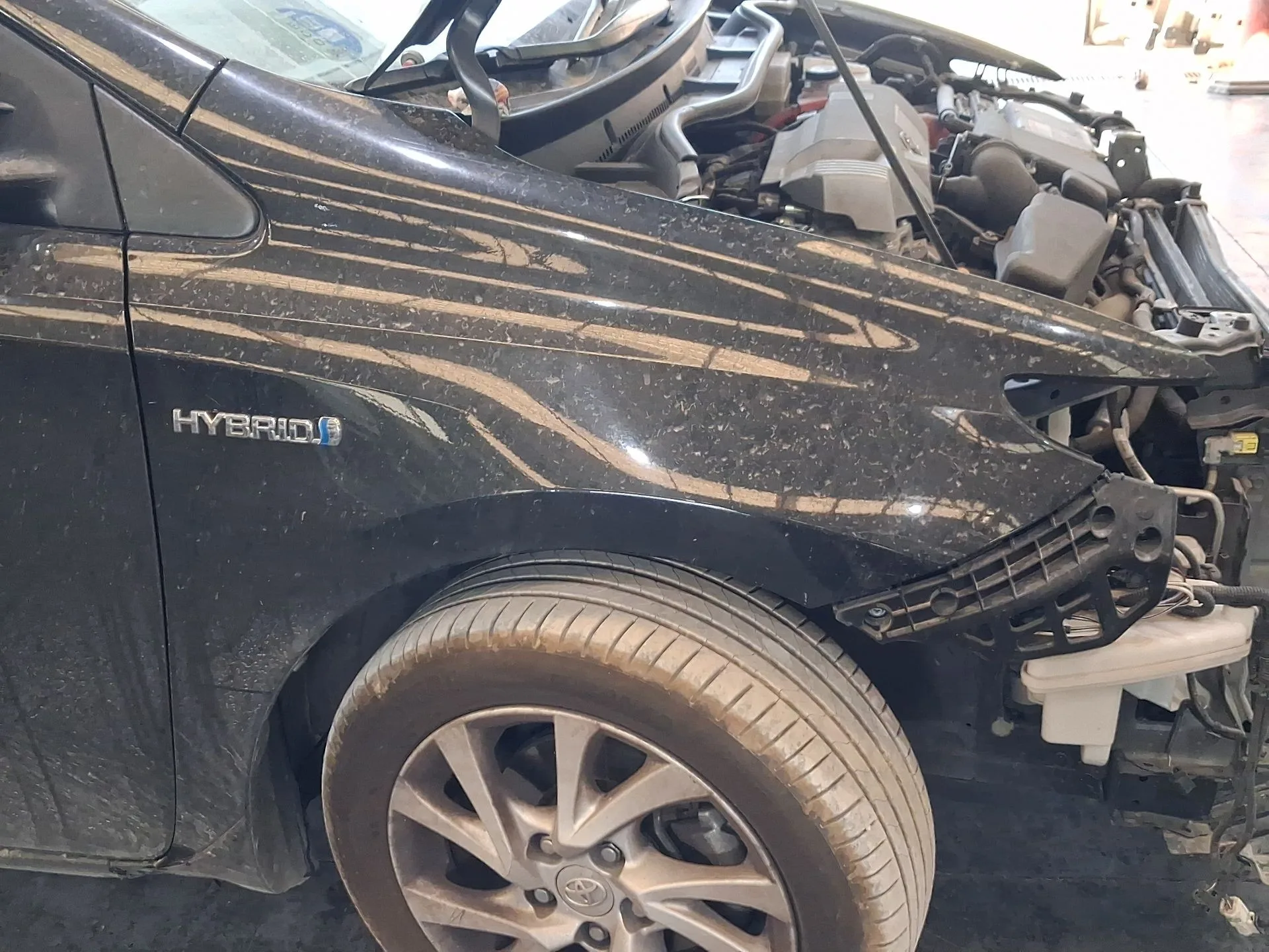 Aleta Delantera Derecha para Toyota Auris (_E18_)