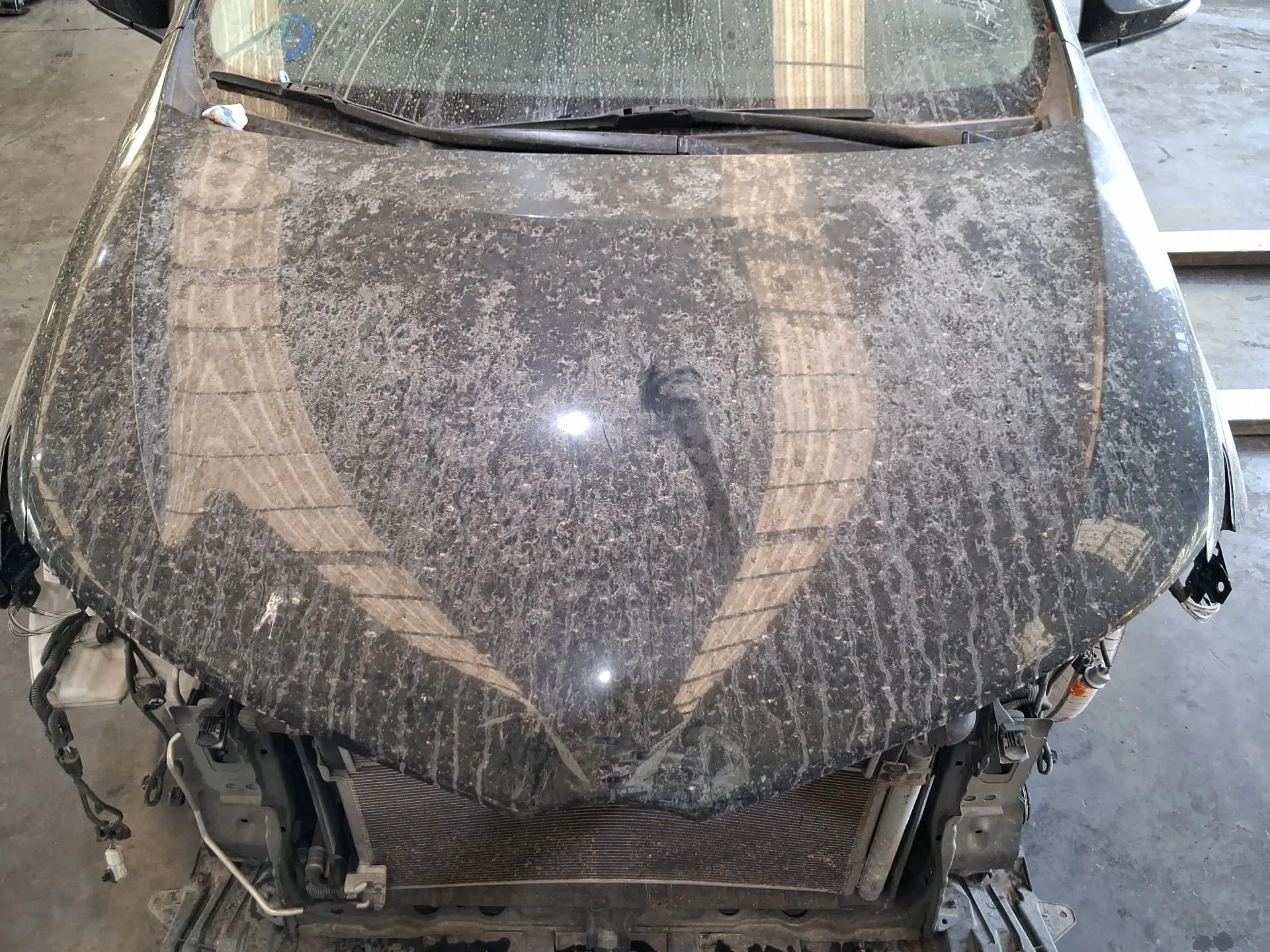 Capot para Toyota Auris (_E18_)