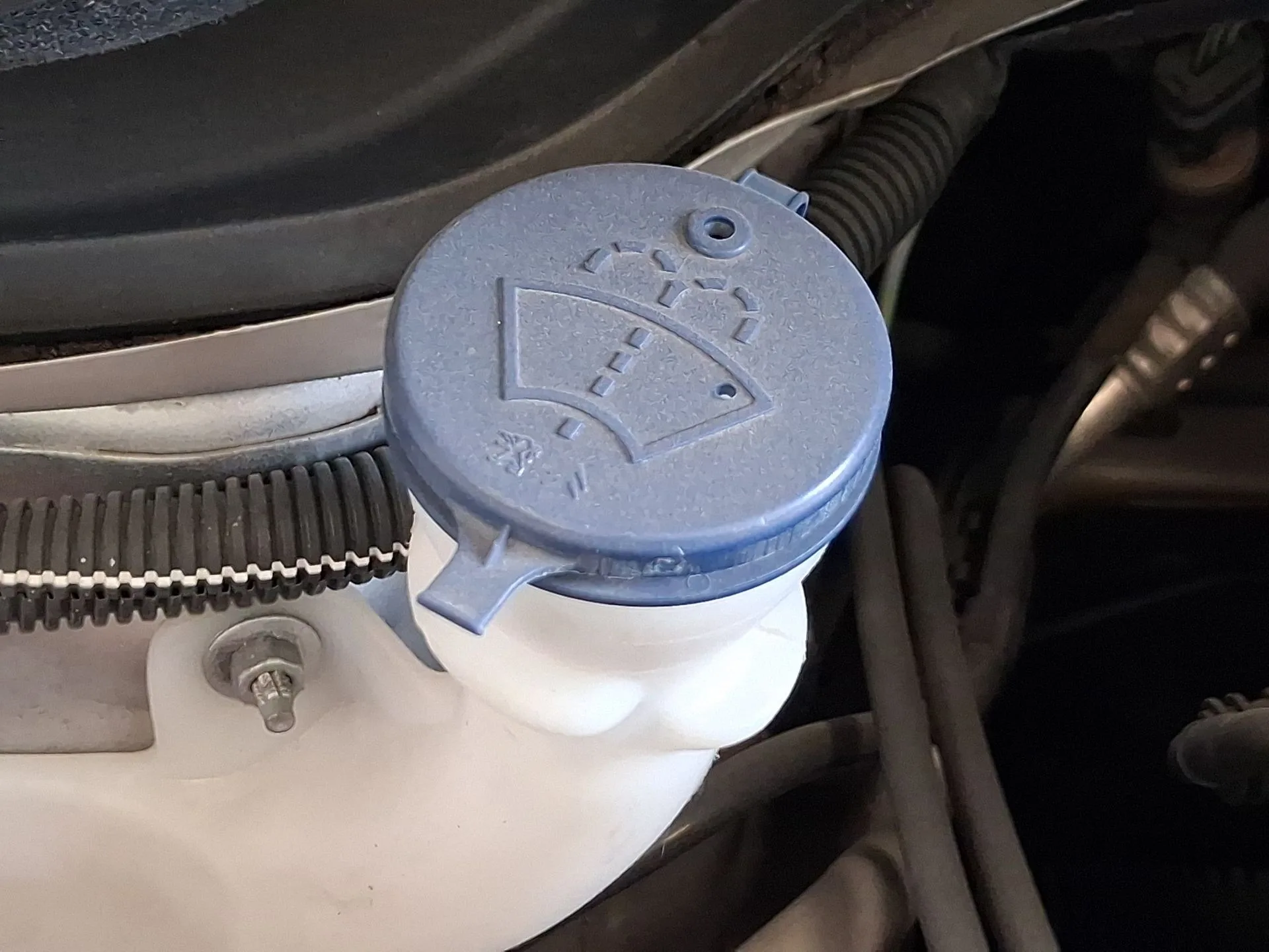 Deposito Limpia para Citroën C3 Iii (Sx)