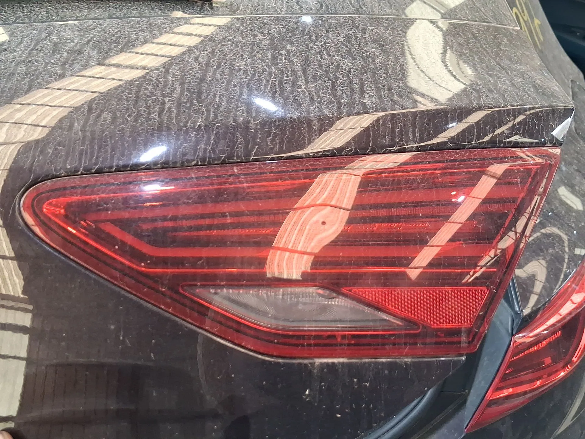 Piloto Trasero Derecho Interior para Seat Leon (5F1)