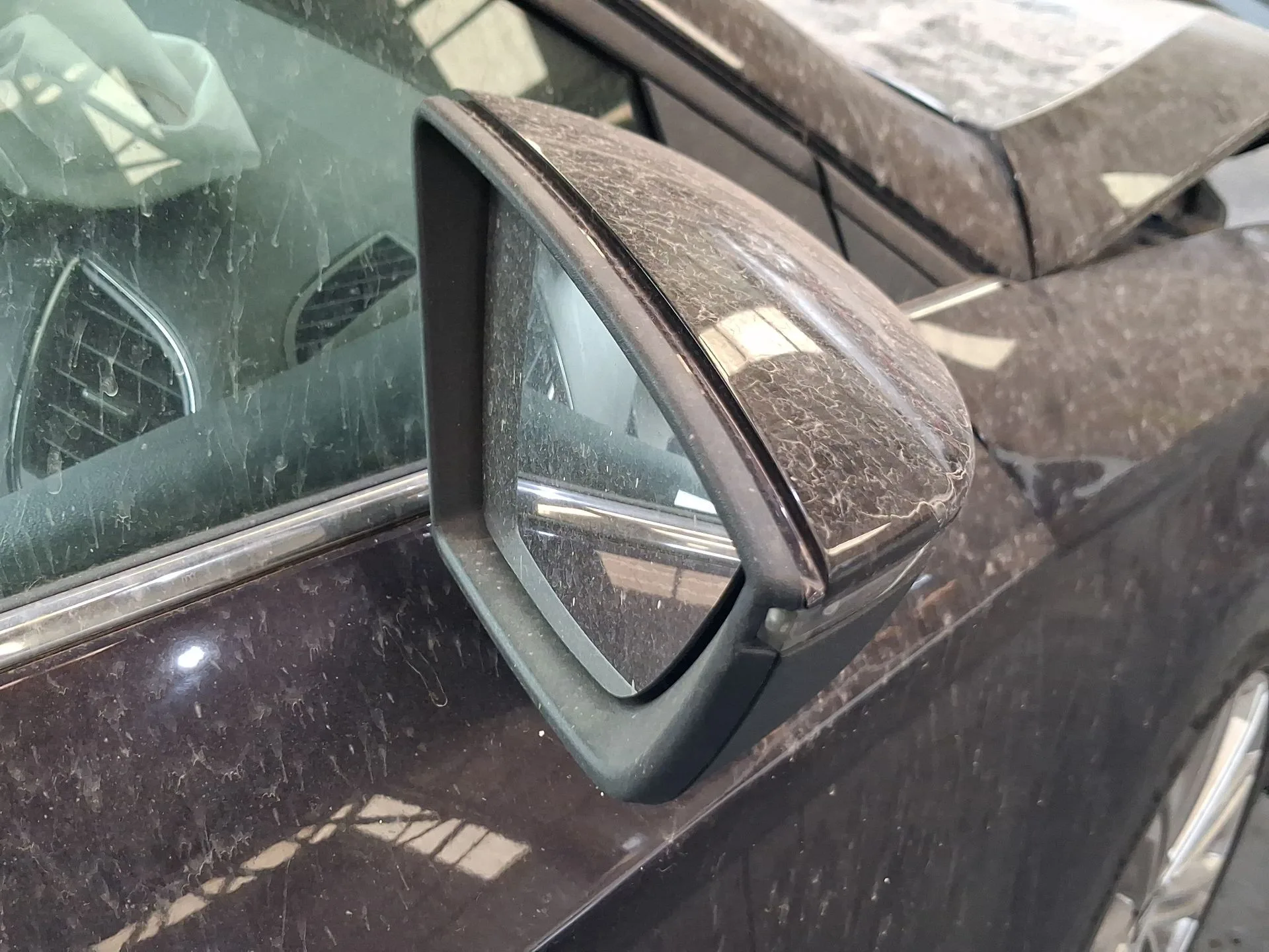 Retrovisor Derecho para Seat Leon (5F1)