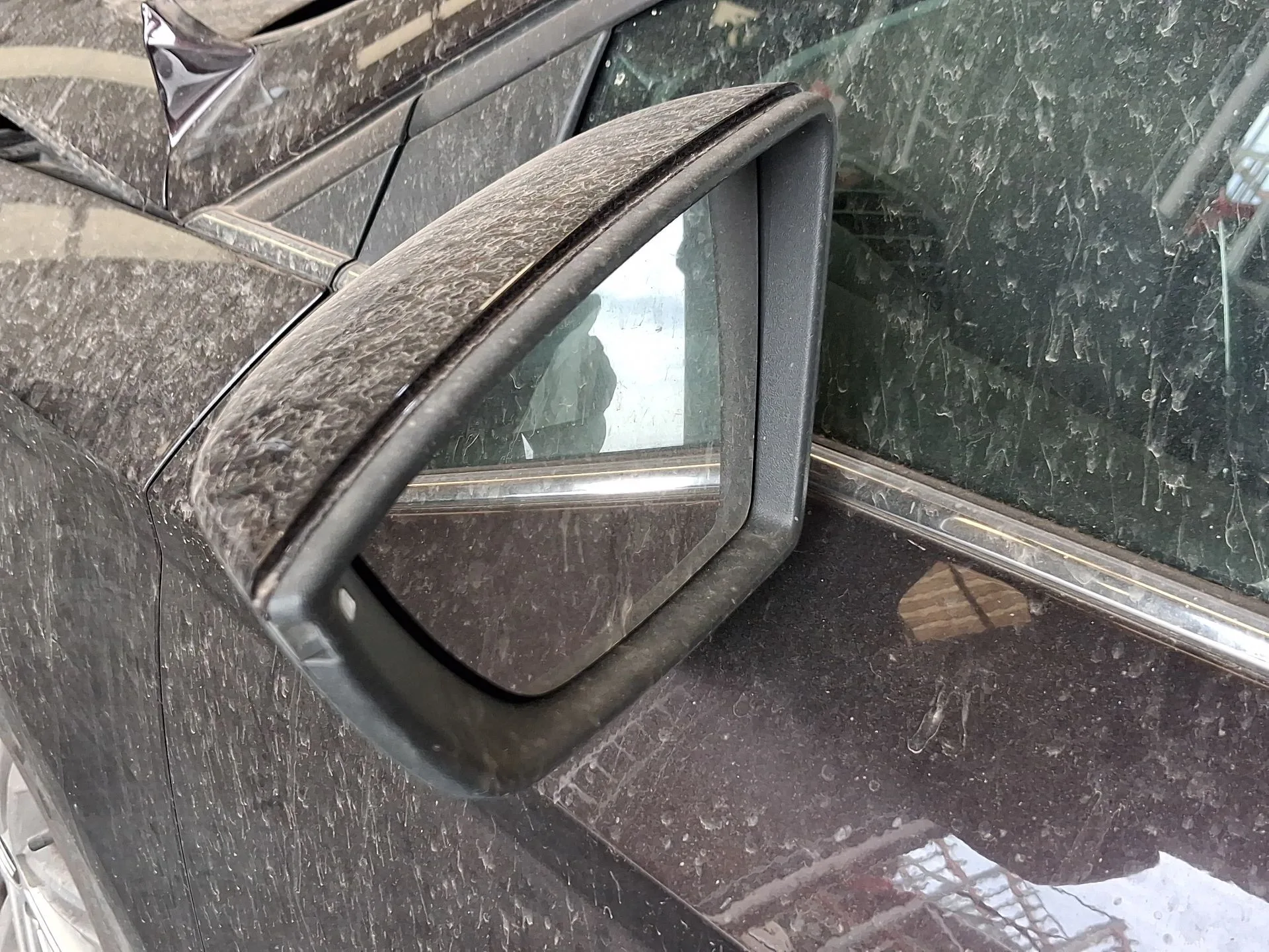 Retrovisor Izquierdo para Seat Leon (5F1)