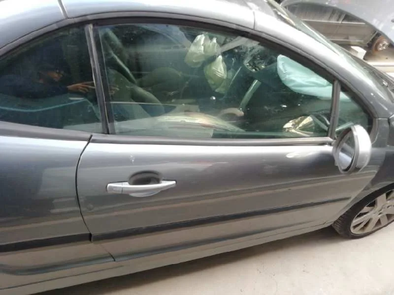 Puerta Delantera Derecha para Peugeot 207 Cc